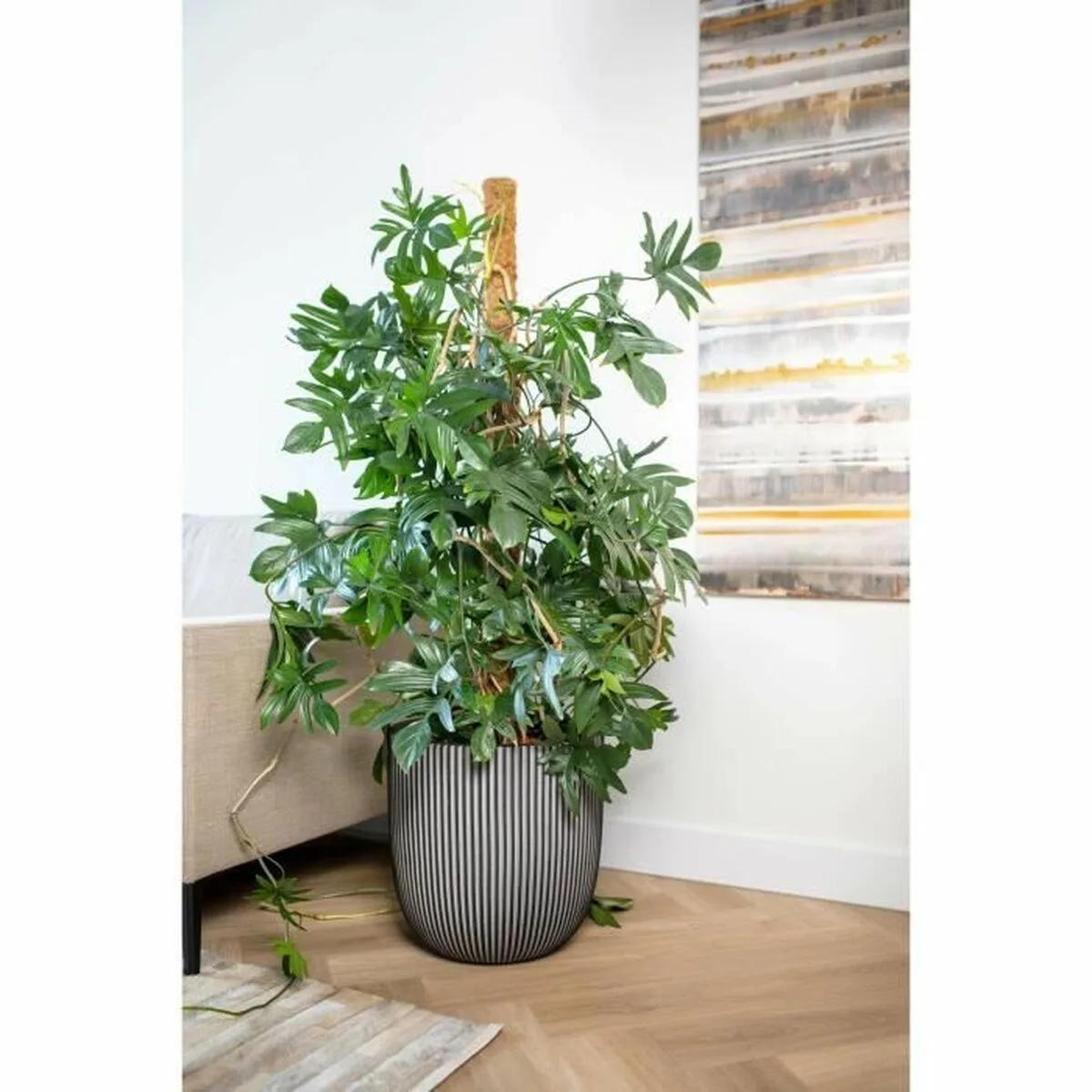 Cache pot capi europe plastique o 43 cm s7100883384. Diaytar, c'est le point de départ de toutes vos histoires. Quel produit allez-vous choisir pour écrire la suite ?