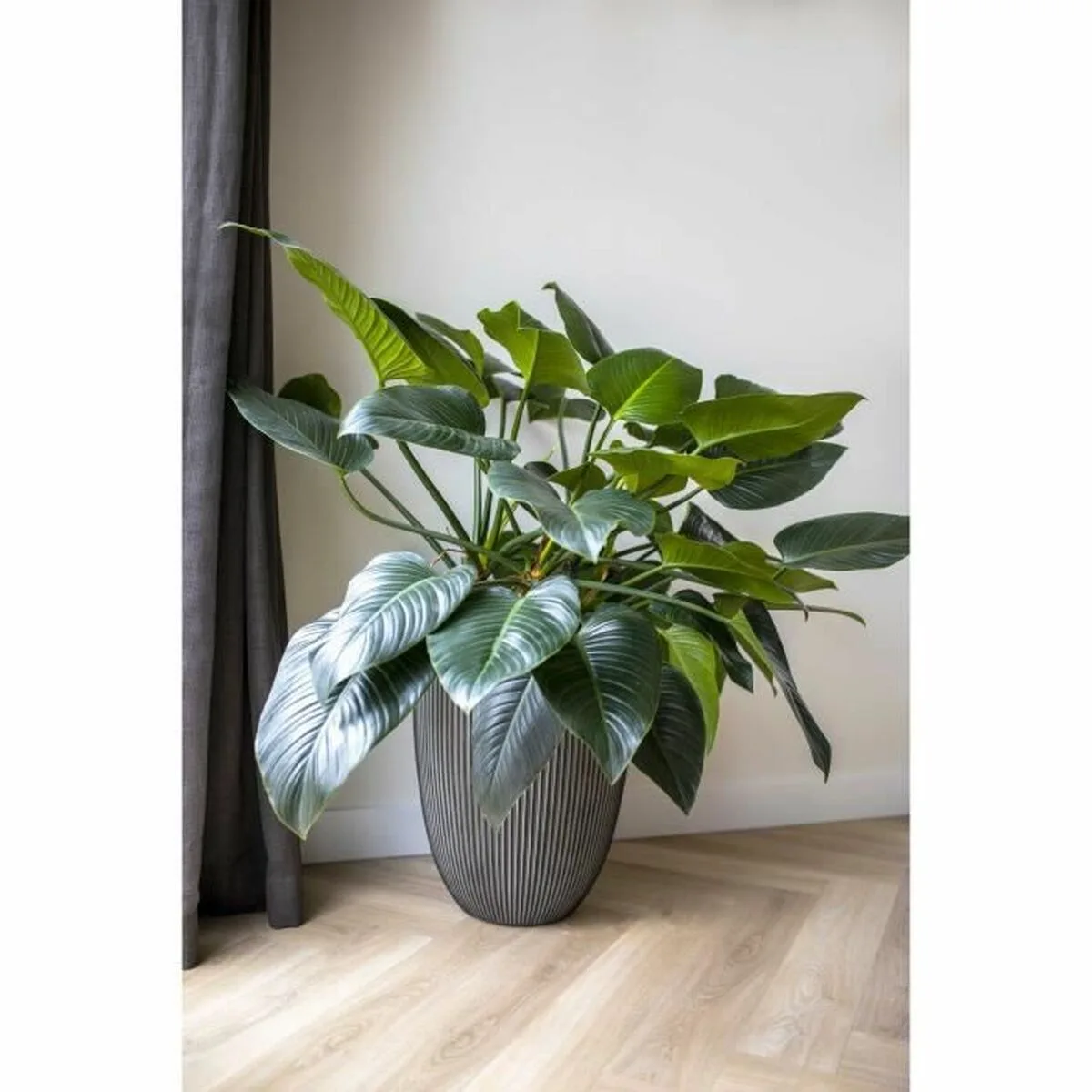 Cache pot capi europe plastique rond s7100884964. C'est officiel : Diaytar devient votre nouvelle addiction shopping. Des produits si bons, vous ne voudrez plus vous arrêter.