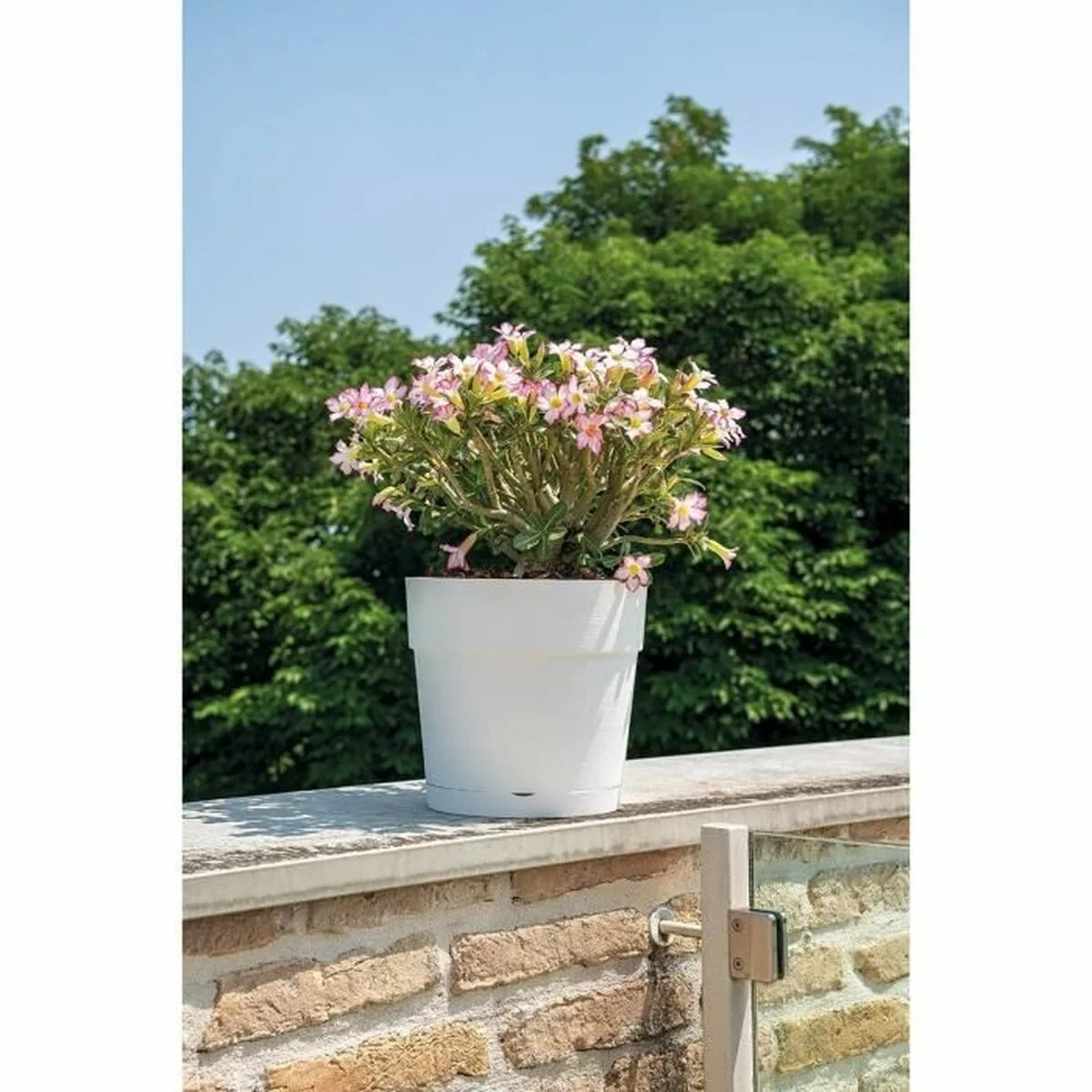 Cache pot deroma blanc 48 x 43 cm 58 l s719838865. Osez l'originalité avec les créations mode exclusives de Diaytar.