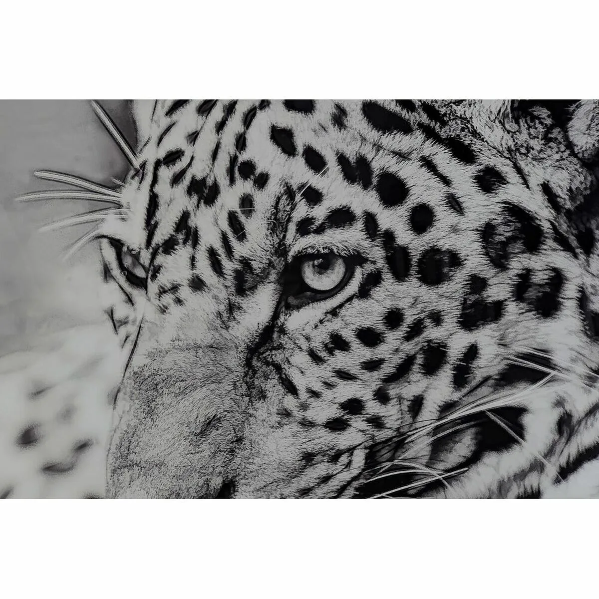 Cadre dkd home decor 100 x 2 5 x 100 cm leopard colonial 2 unites s302817923. L'ADN de Diaytar : un mélange éclectique et raffiné de produits qui parle aussi bien aux geeks qu'aux esthètes