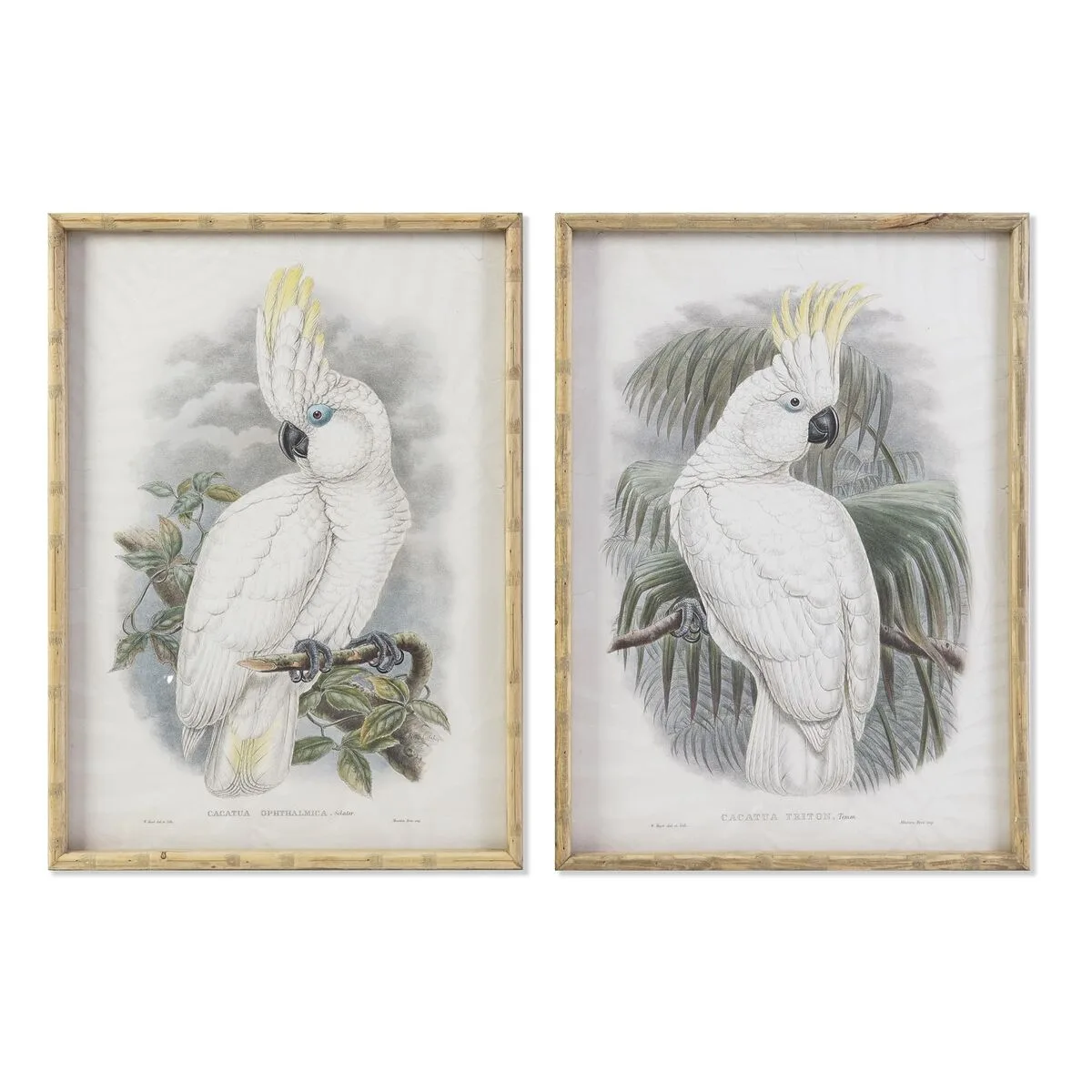Cadre dkd home decor 50 x 2 8 x 70 cm colonial perroquet 2 unites s302840717. La chasse aux produits extraordinaires est ouverte. Diaytar vous donne les clés d'un univers shopping infini.