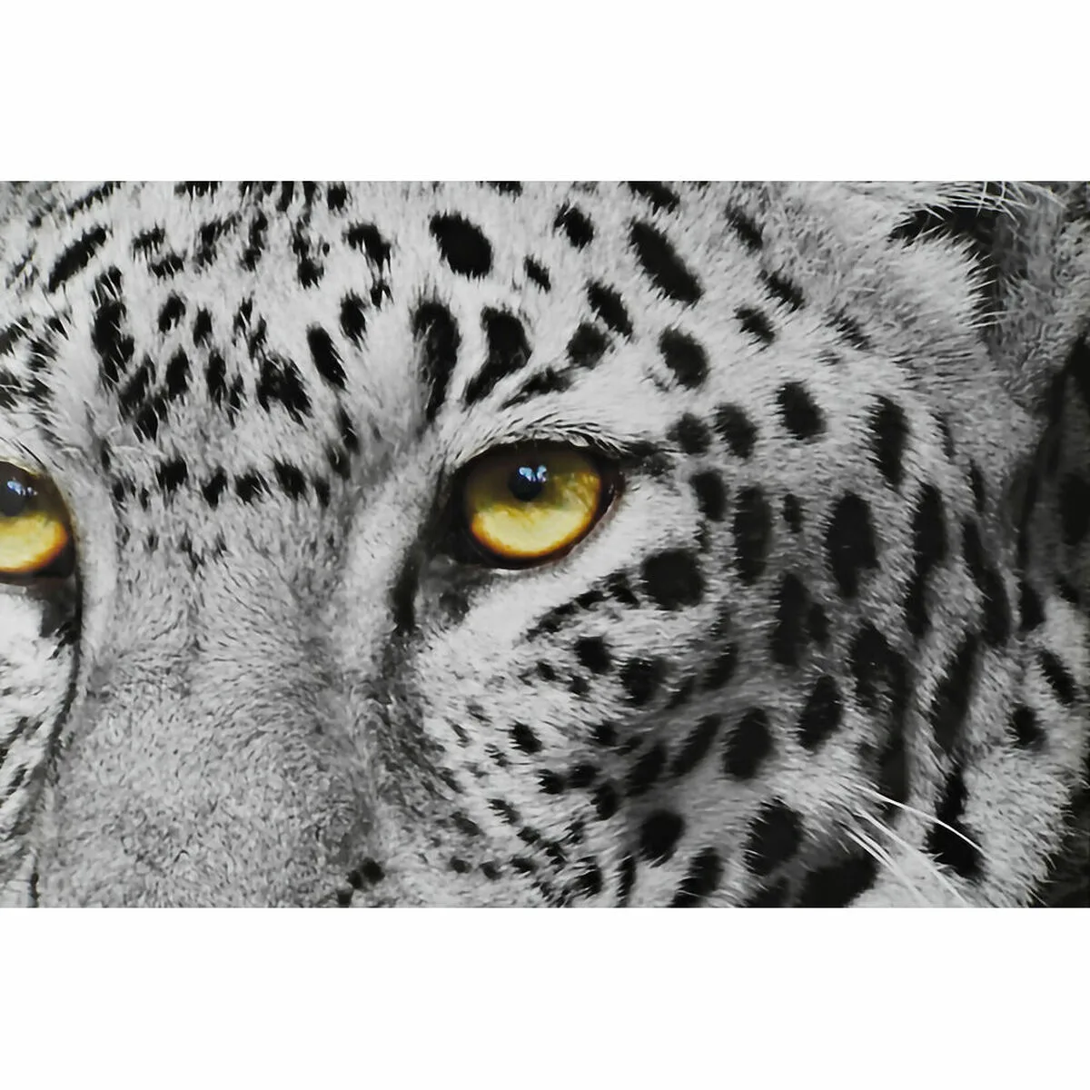Cadre dkd home decor 67 x 3 x 93 cm colonial jungle 3 pieces s302815583. Diaytar, la preuve qu'une boutique généraliste peut être synonyme de goût, d'exigence et d'innovation constante