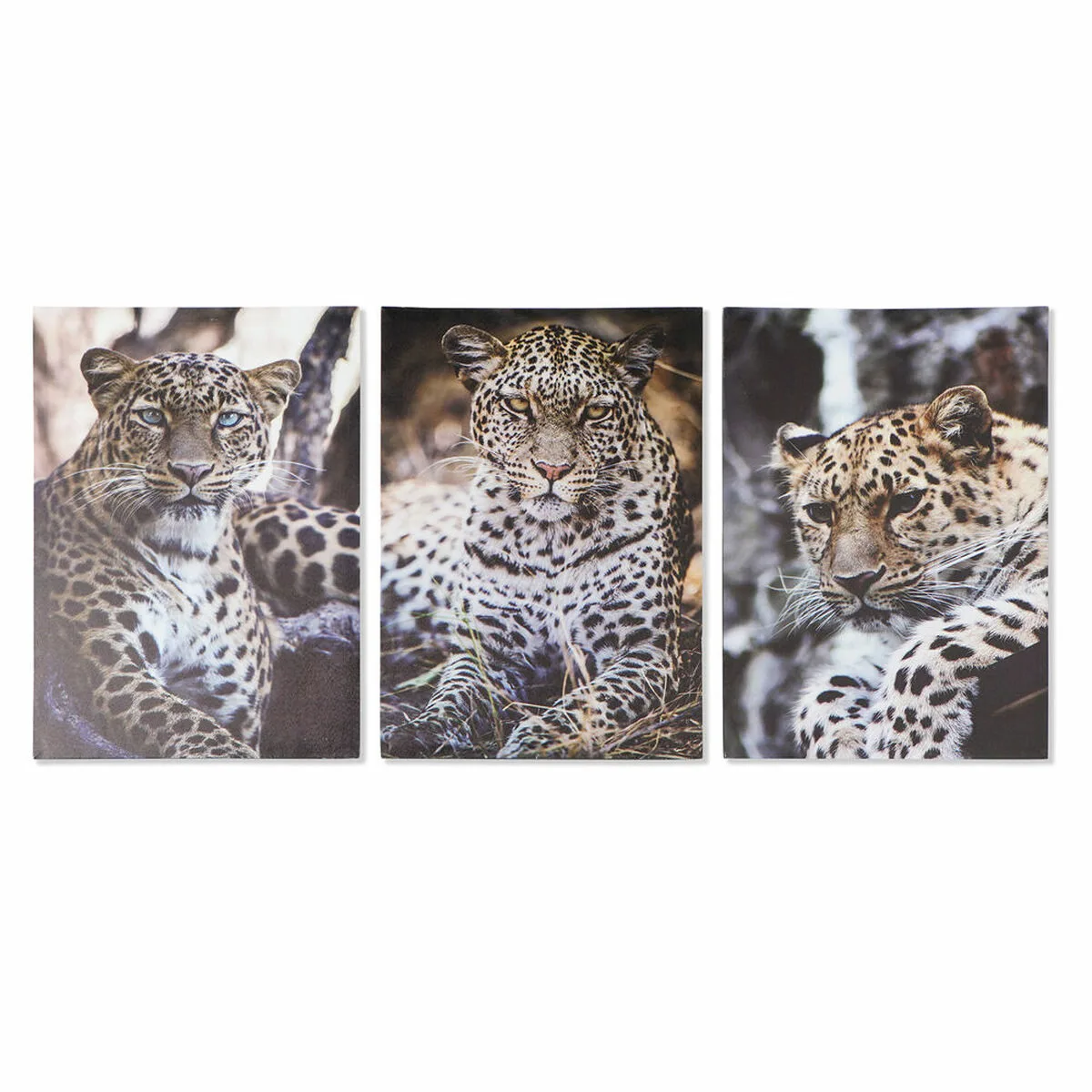 Cadre dkd home decor leopard colonial 50 x 1 8 x 70 cm s301817637. Bienvenue sur Diaytar, la plateforme qui a réussi le pari de rendre le shopping généraliste aussi excitant que la mode.