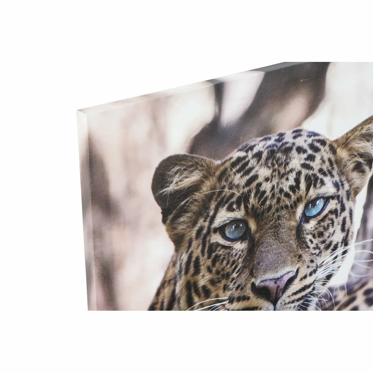 Cadre dkd home decor leopard colonial 50 x 1 8 x 70 cm s301817670. Diaytar, la boutique en ligne qui pense à tout : des gadgets électroniques les plus futés aux objets maison les plus design