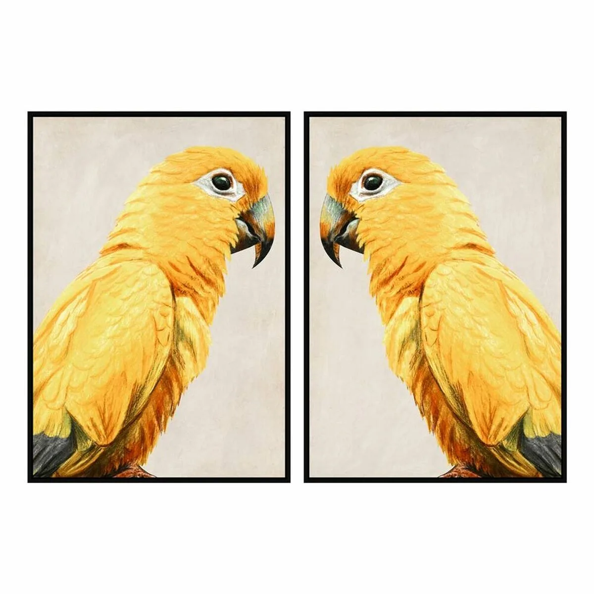 Cadre dkd home decor perroquet tropical 103 x 4 2 x 143 cm 2 unites s301797872. Diaytar, c'est le résultat de years of market research condensé en une seule plateforme intuitive et généreuse.