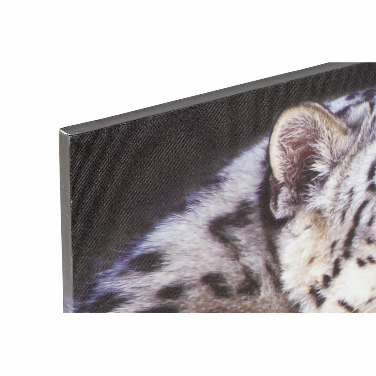 Cadre dkd home decor tigre colonial 80 x 1 8 x 40 cm 2 unites s301816197. Votre boutique de confiance Diaytar vous accompagne dans tous vos projets.
