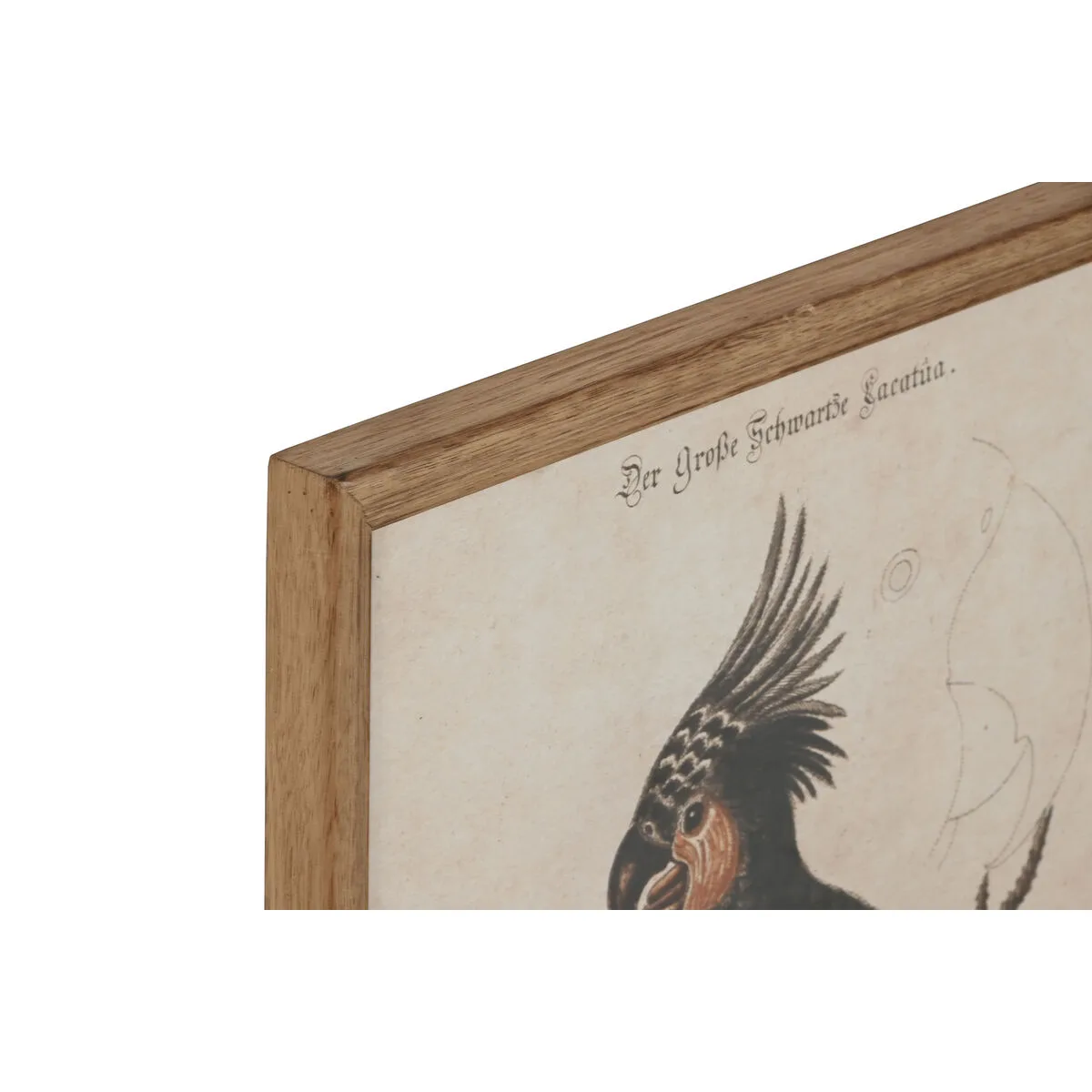 Cadre home esprit beige tropical 40 x 2 x 50 cm 4 unites s306056363. Diaytar, c'est le résultat de years of market research condensé en une seule plateforme intuitive et généreuse.