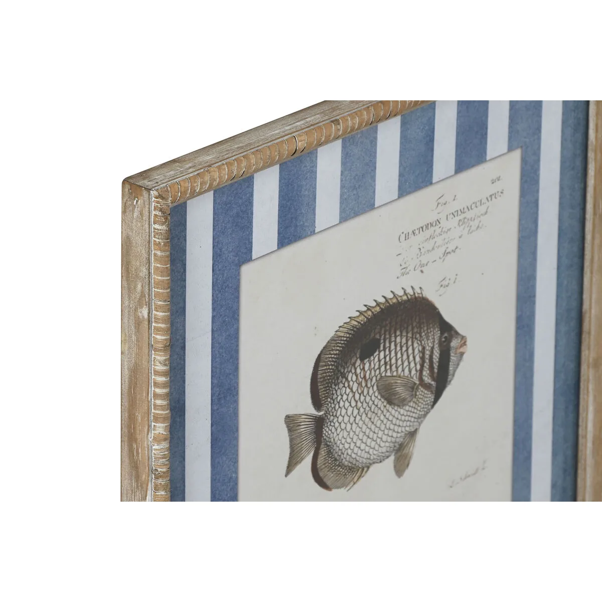 Cadre home esprit bleu poisson 40 x 2 5 x 55 cm 4 unites s305985519. La boutique en ligne Diaytar, un terrain de jeu infini pour tous ceux qui aiment découvrir des produits utiles et beaux