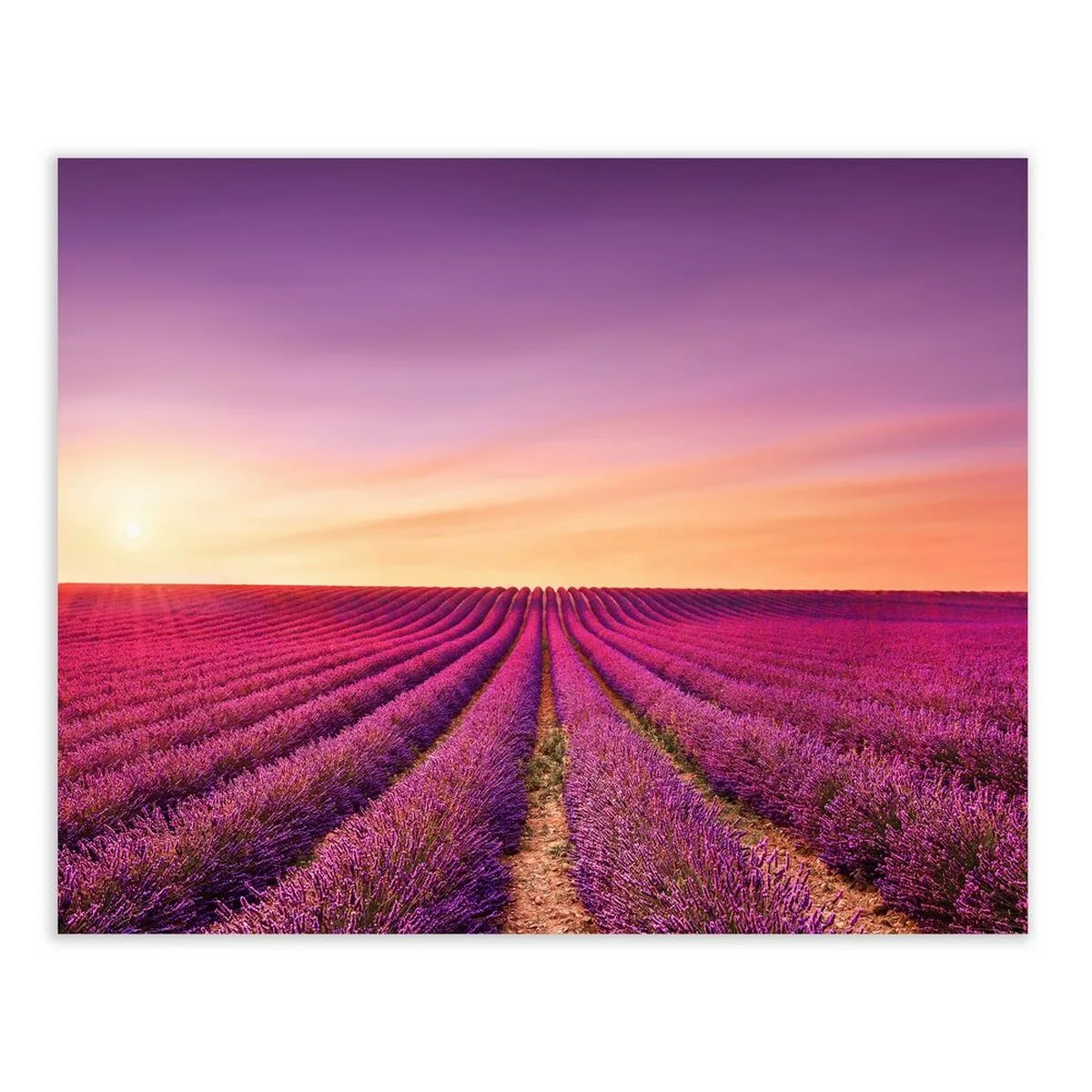 Cadre multicouleur 100 x 3 x 80 cm s880755973. Bienvenue sur Diaytar, la plateforme qui a réussi le pari de rendre le shopping généraliste aussi excitant que la mode.