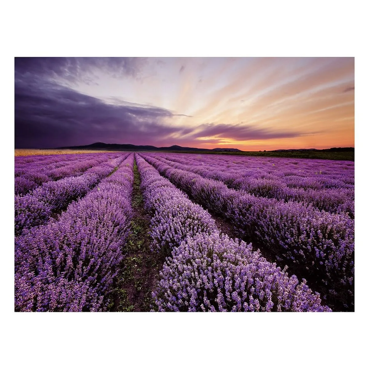 Cadre multicouleur 80 x 3 x 60 cm s880884597. Laissez-vous guider par Diaytar à travers la jungle des produits pour dénicher ceux qui méritent vraiment votre attention