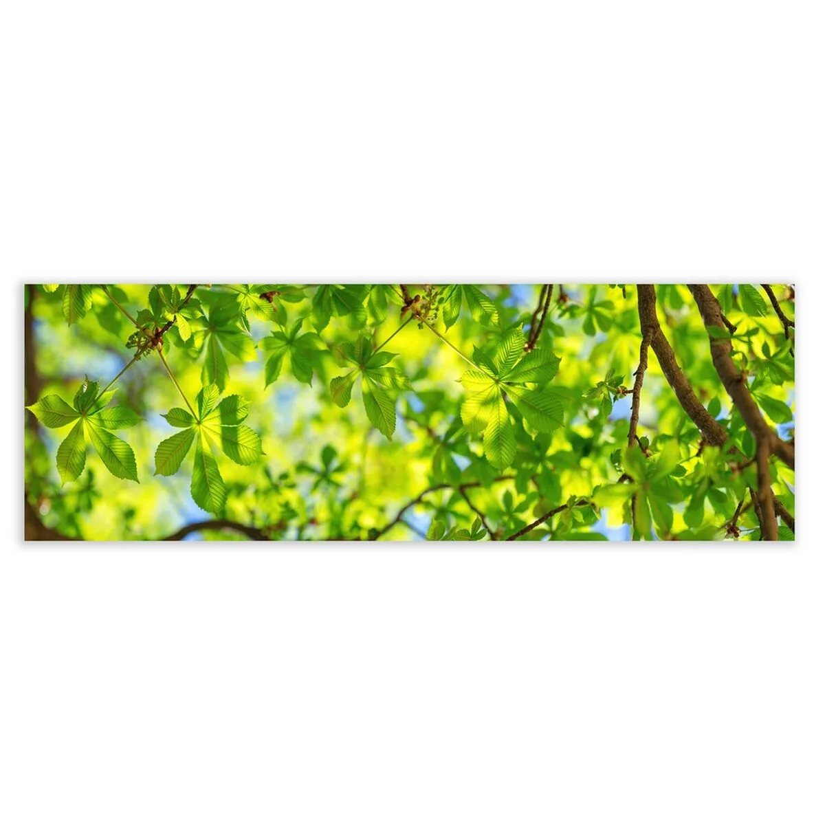 Cadre vert 180 x 3 x 60 cm s880756015. Diaytar : La boutique qui réunit qualité, tendance et prix accessibles sous un même toit.