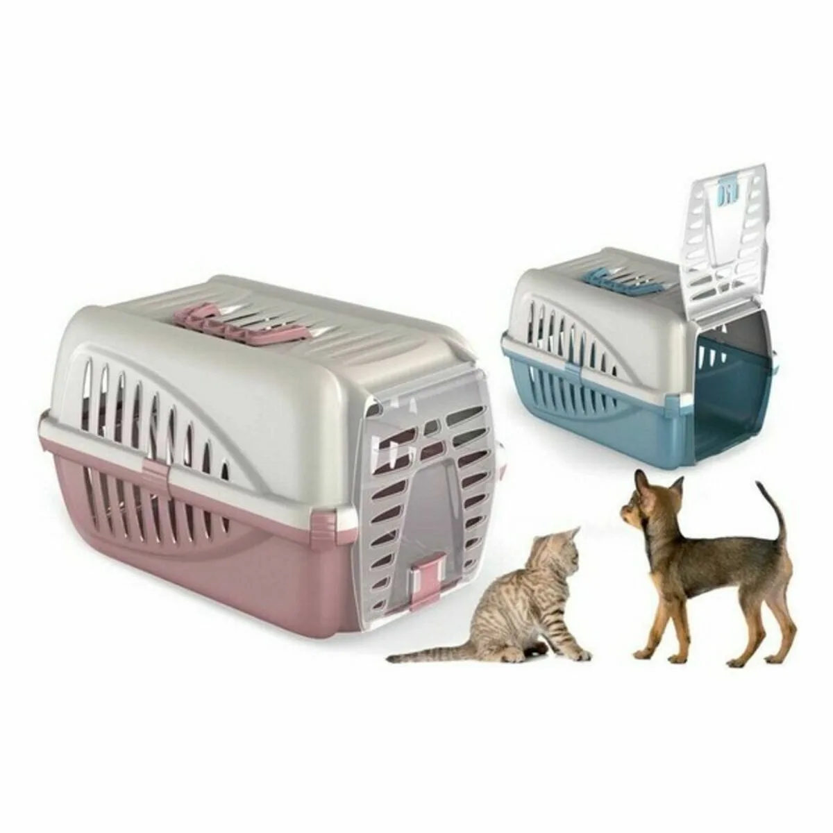 Cage de transport georplast 50 x 33 x 31 cm 8 unites s222605653. Diaytar, c'est le manifeste d'un shopping plus intelligent, plus rapide, et résolument plus gratifiant.