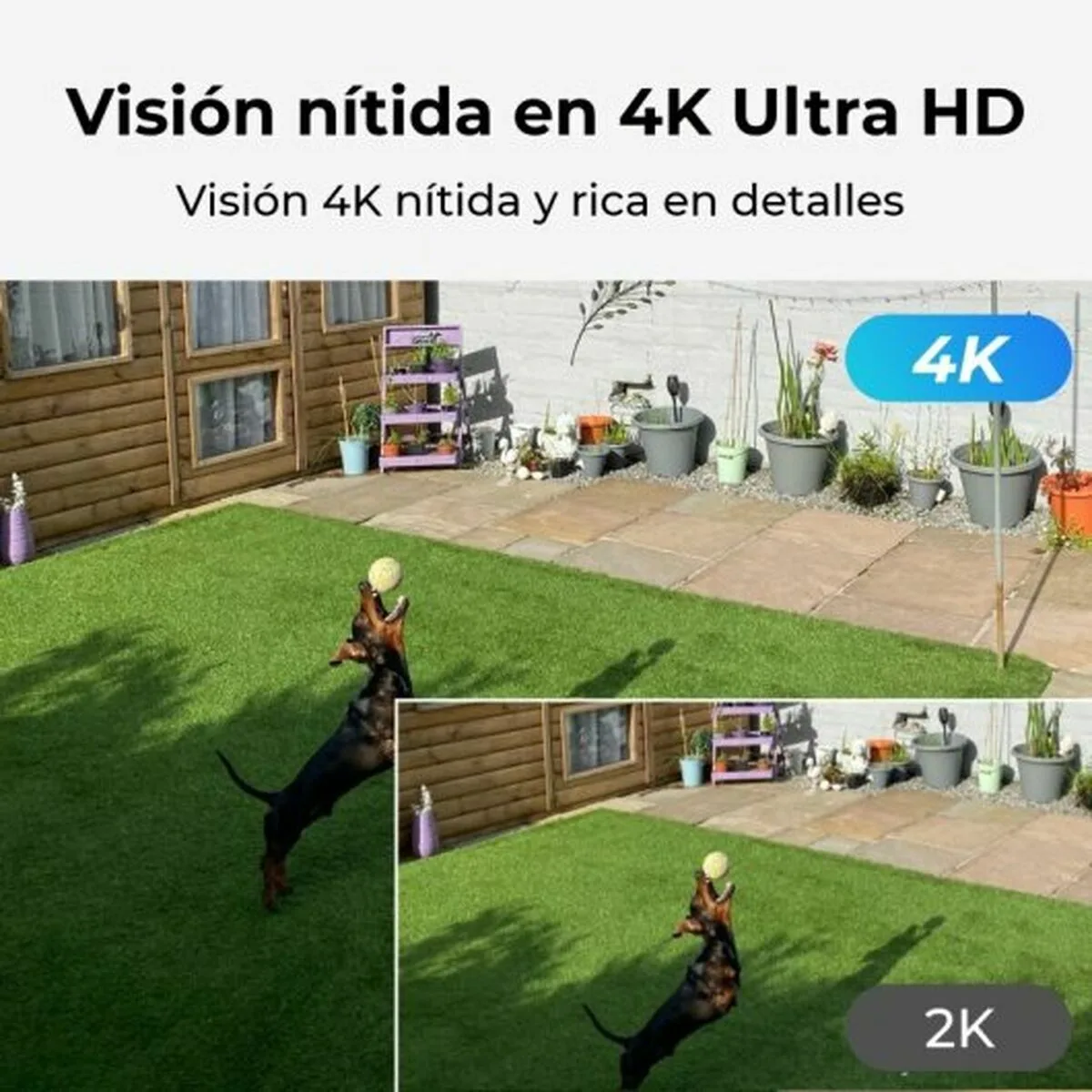 Camescope de surveillance reolink p330 s9111829075. Chez Diaytar, nous croyons que le meilleur des produits généraux et électroniques doit être accessible à tous, sans compromis sur le style
