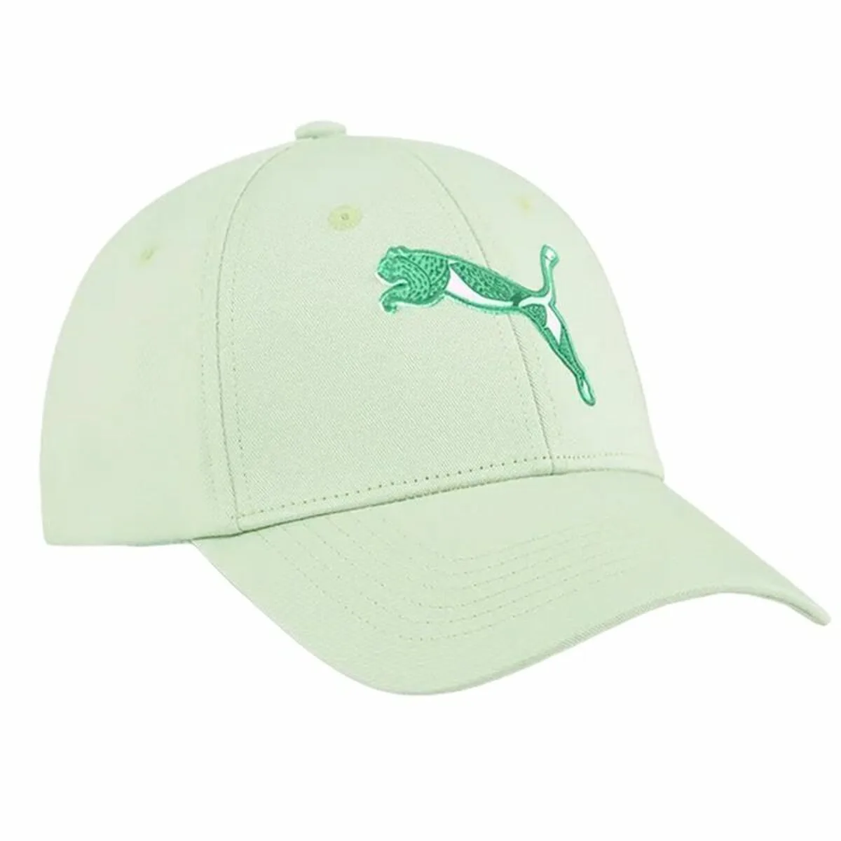 Casquette de sport puma essentials blossom vert taille unique s6417108431. La qualité Diaytar : un engagement, une promesse, une satisfaction garantie.