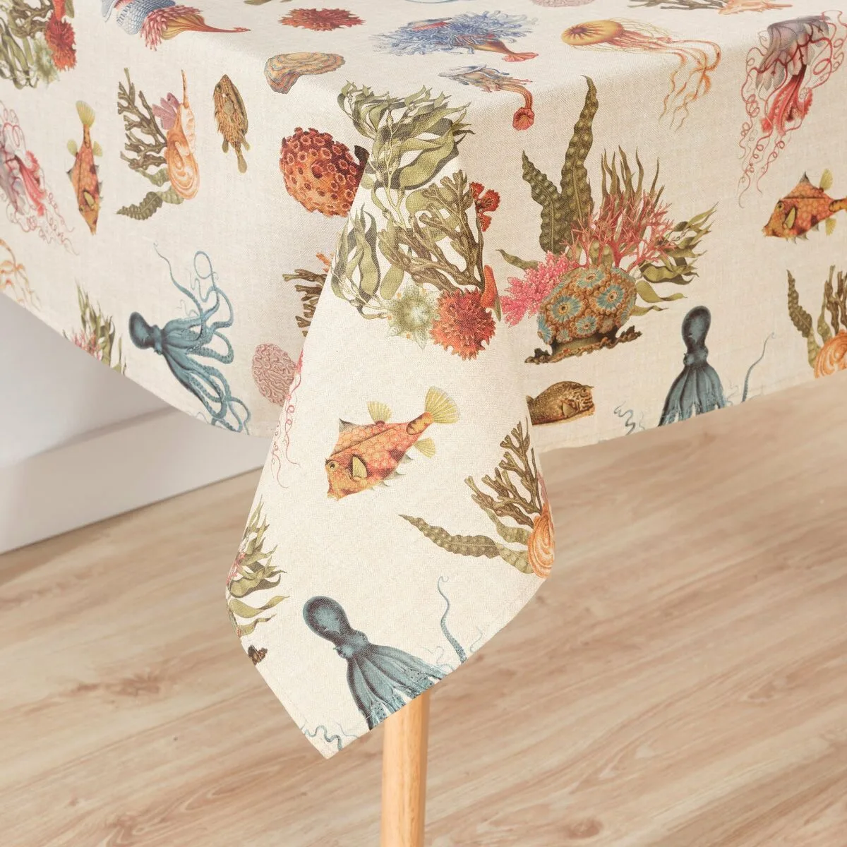 Casse noisette belum 0120 396 multicouleur 150 x 150 cm 140 x 140 cm s980507428. Notre équipe Diaytar parcourt le globe pour vous dénicher les produits généraux et électroniques les plus prometteurs