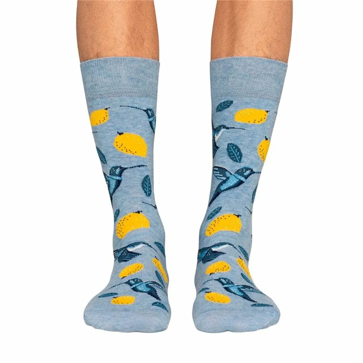 Chaussettes jimmy lion birds lemons bleu clair 41 46 s6416051370. Diaytar, c'est le point de départ de toutes vos histoires. Quel produit allez-vous choisir pour écrire la suite ?