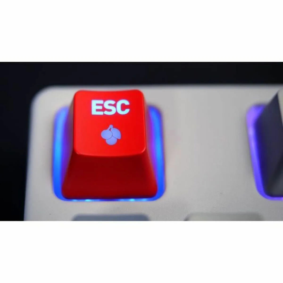Clavier et souris cherry s7101991245. Découvrez l'univers Diaytar - Des milliers de produits sélectionnés avec soin pour vous.