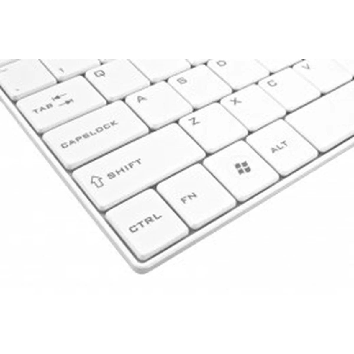 Clavier et souris esperanza ek122w blanc qwerty s913934148. Diaytar Home : Créez l'atmosphère parfaite dans chaque pièce de votre maison.