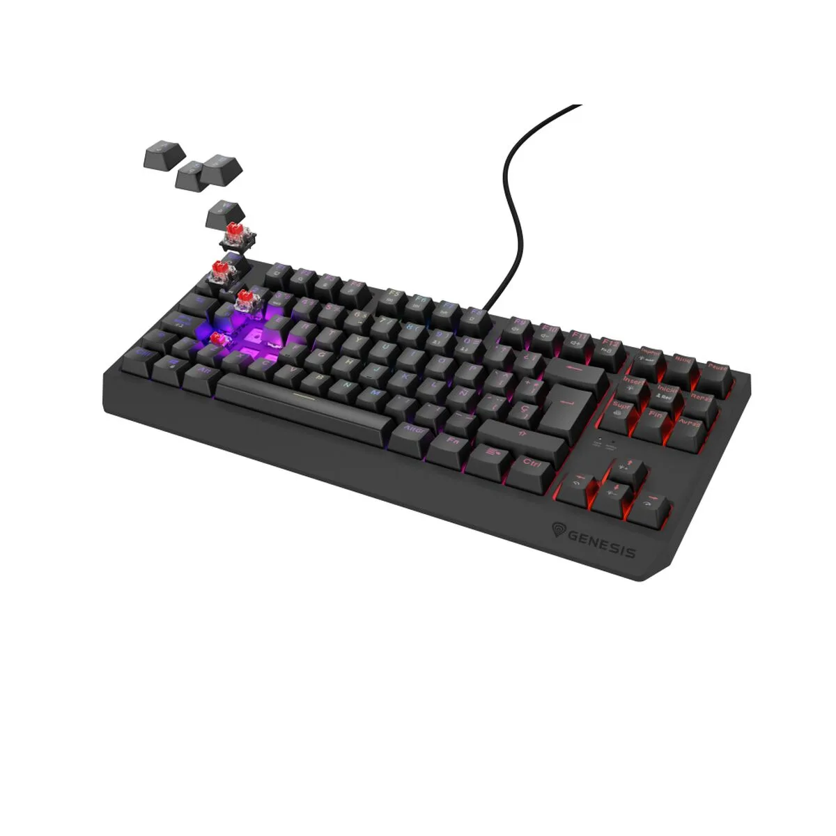 Clavier genesis thor 230 tkl noir espagnol qwerty s563024847. Diaytar a été conçu pour ceux qui refusent le compromis. Ici, chaque produit est une victoire du qualitatif sur le quantitatif.