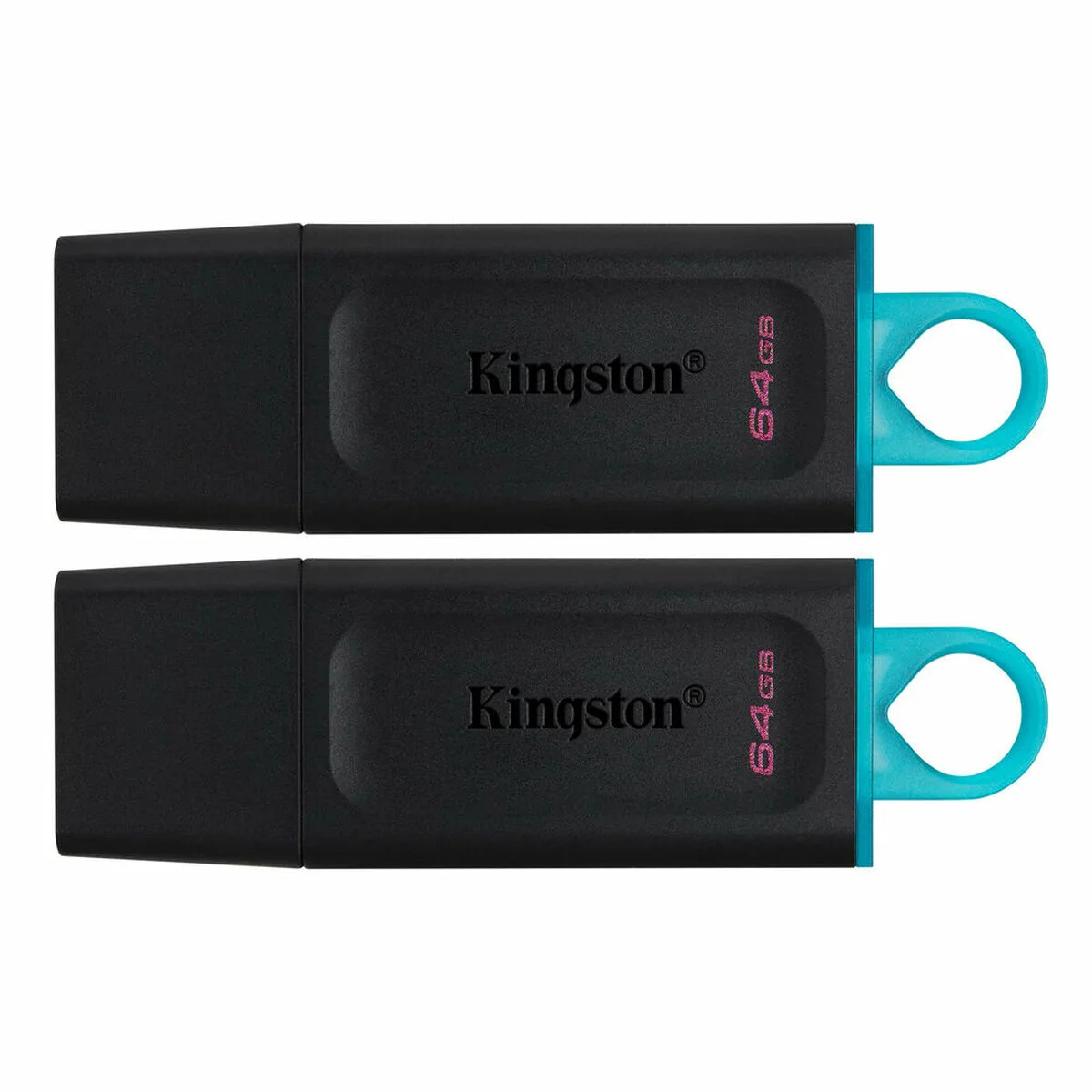 Cle usb kingston datatraveler exodia vert 64 gb 2 pcs s5513663222. Diaytar s'adresse aux esprits modernes en quête de produits qui allient performance technologique et design épuré