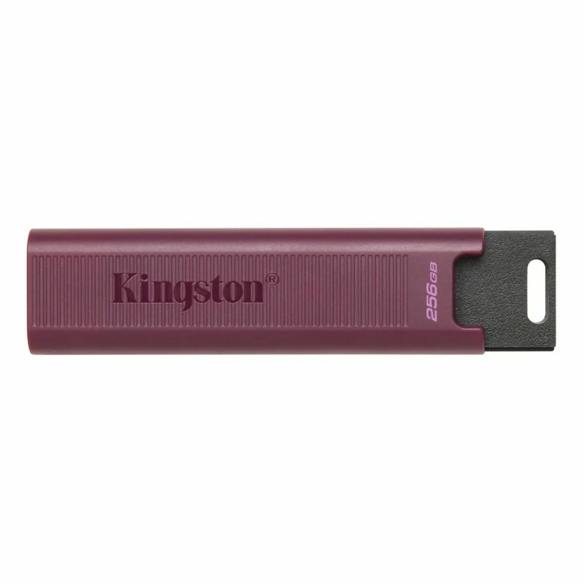 Cle usb kingston max rouge 256 gb s990427498. La chasse aux produits extraordinaires est ouverte. Diaytar vous donne les clés d'un univers shopping infini.