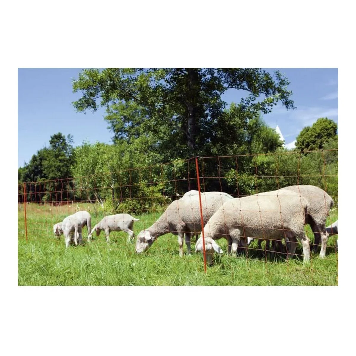 Cloture kerbl 90 cm s714041118. L'ambition de Diaytar : devenir votre boutique en ligne de référence pour tous les produits qui améliorent votre vie