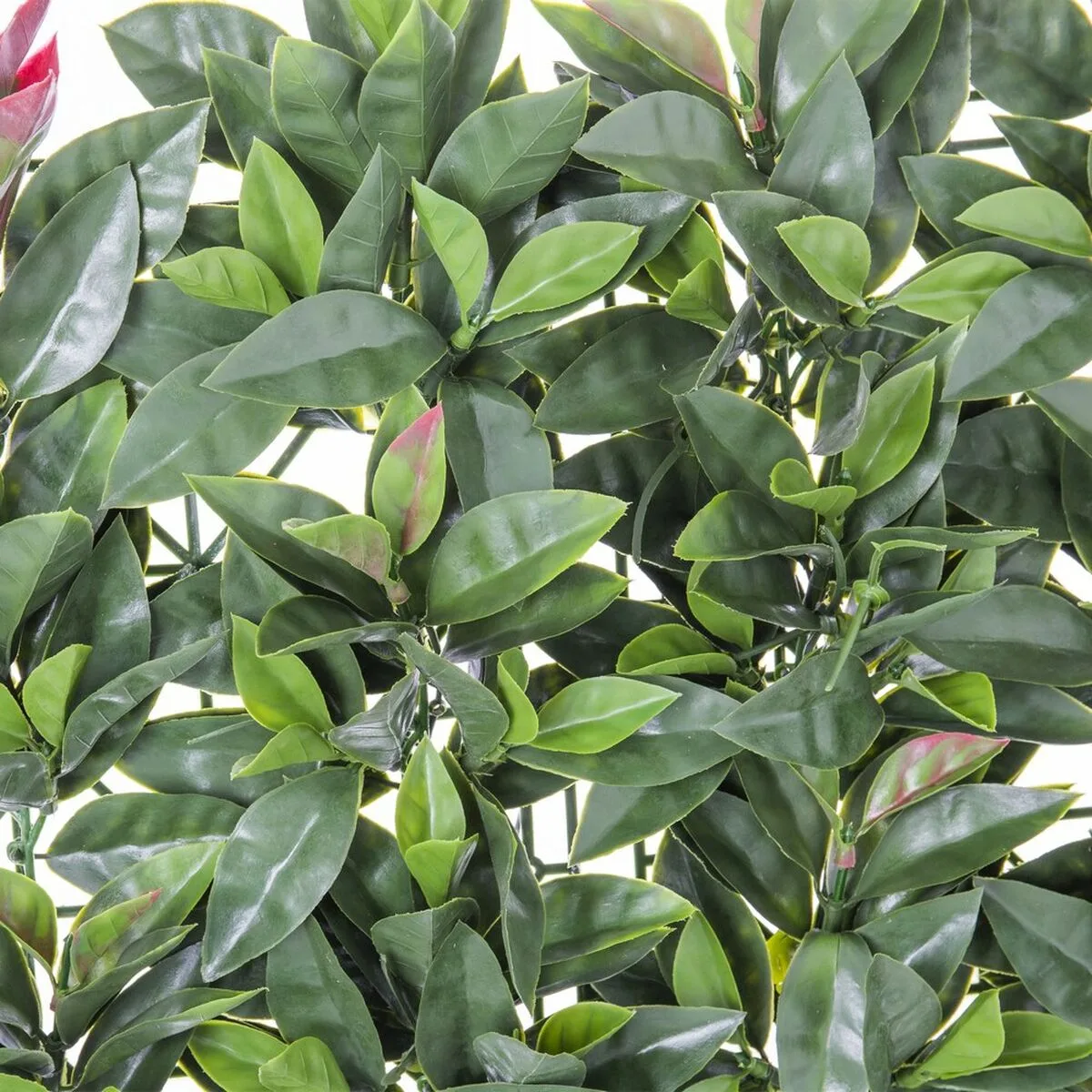 Cloture laurel 50 x 50 x 2 cm s870046793. Notre mission chez Diaytar : démocratiser l'accès aux produits extraordinaires, sans rogner sur le design ou la qualité.