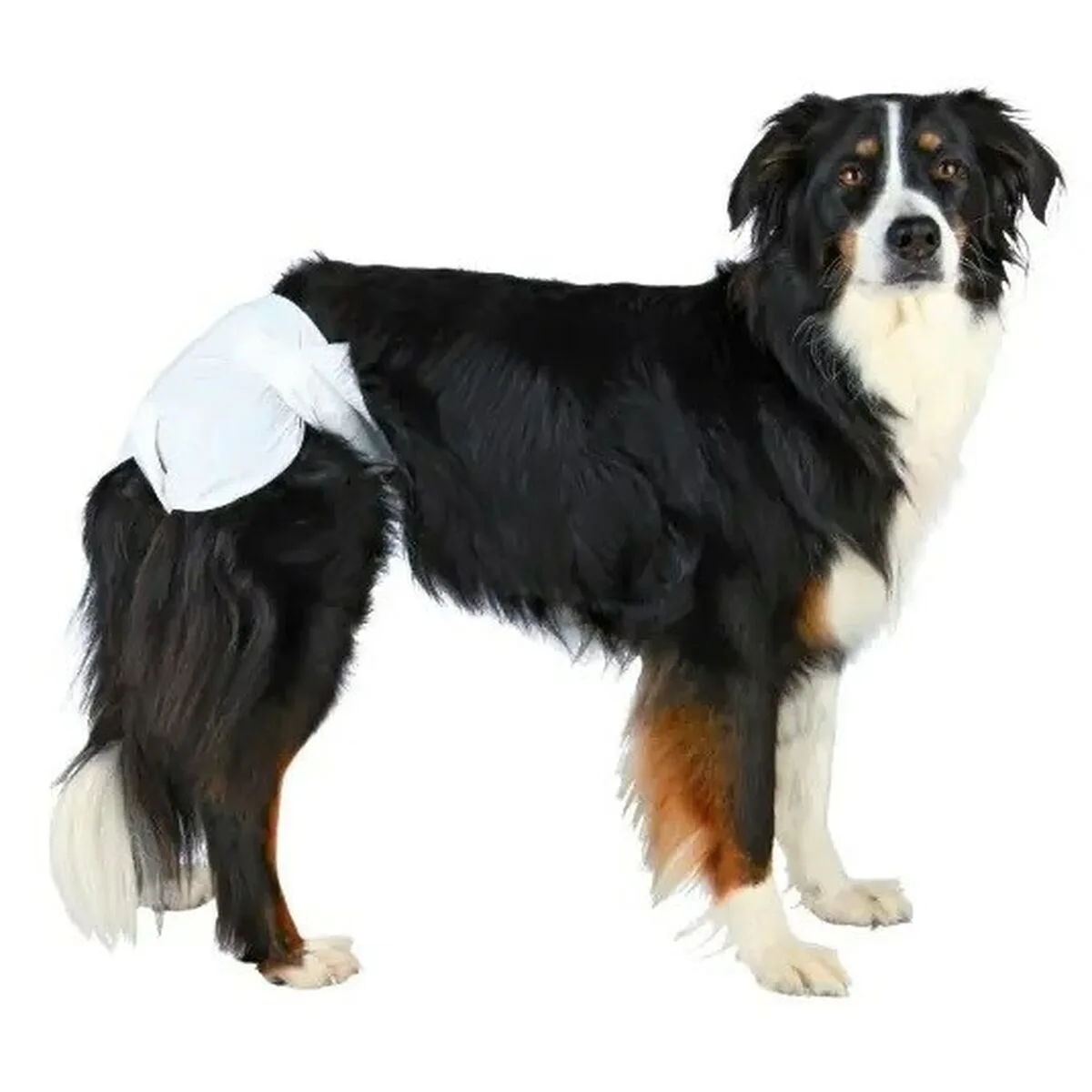 Couches trixie 23634 chien m l s080025396. Diaytar capitalise sur la diversité : notre force est de vous offrir un choix immense sans jamais sacrifier la qualité