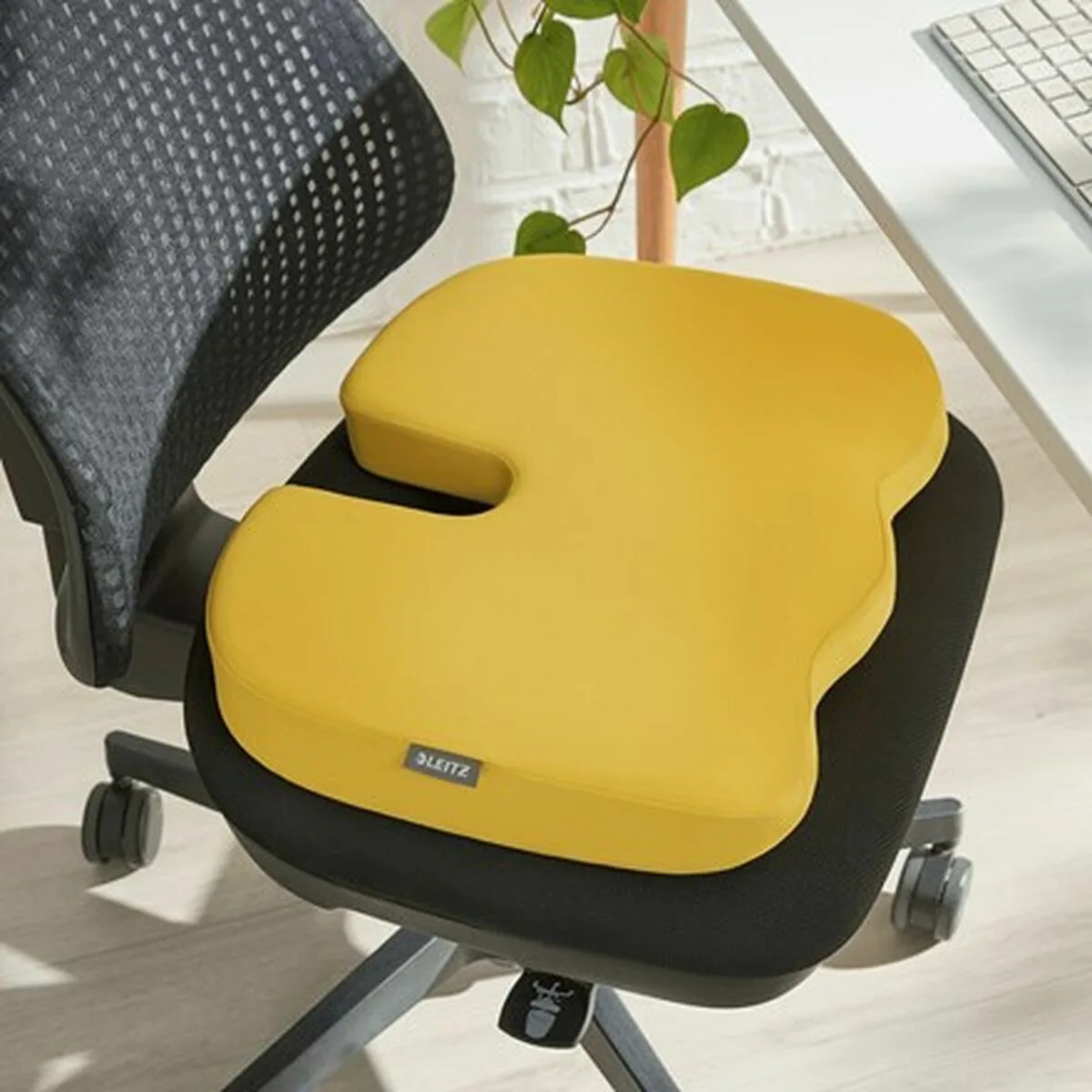 Coussin de chaise leitz m090022874. Notre raison d'être : vous faire économiser le plus précieux des resources : votre temps. Bienvenue sur Diaytar, les produits triés sur le volet.