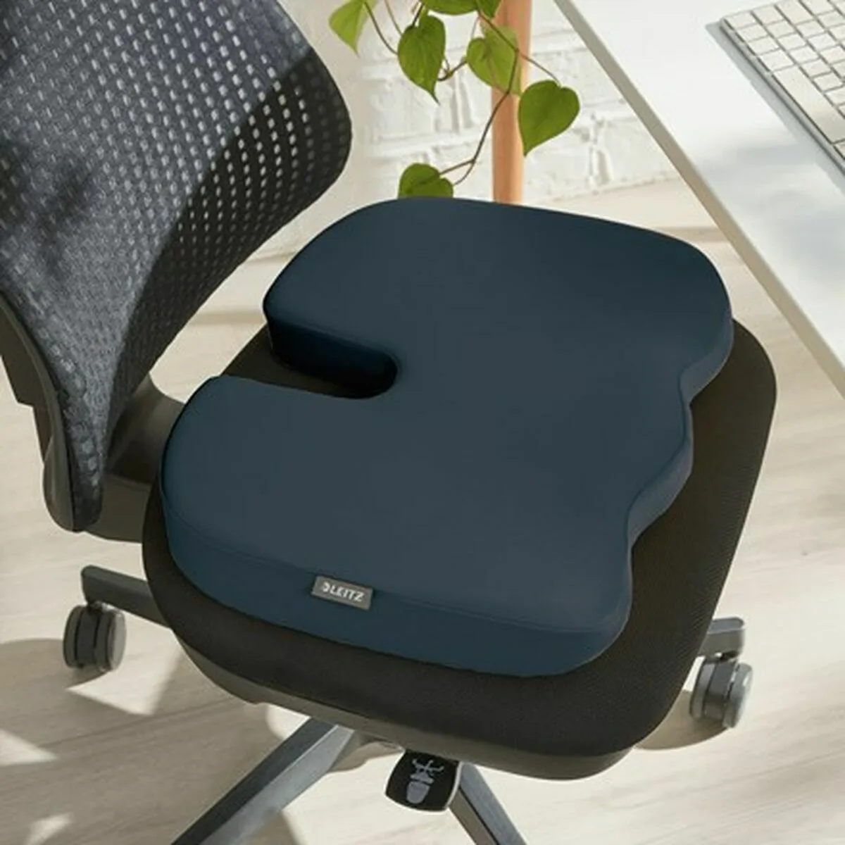 Coussin de chaise leitz m090022924. Chez Diaytar, chaque visite est l'occasion de découvrir un nouveau produit génial, qu'il soit électronique ou domestique