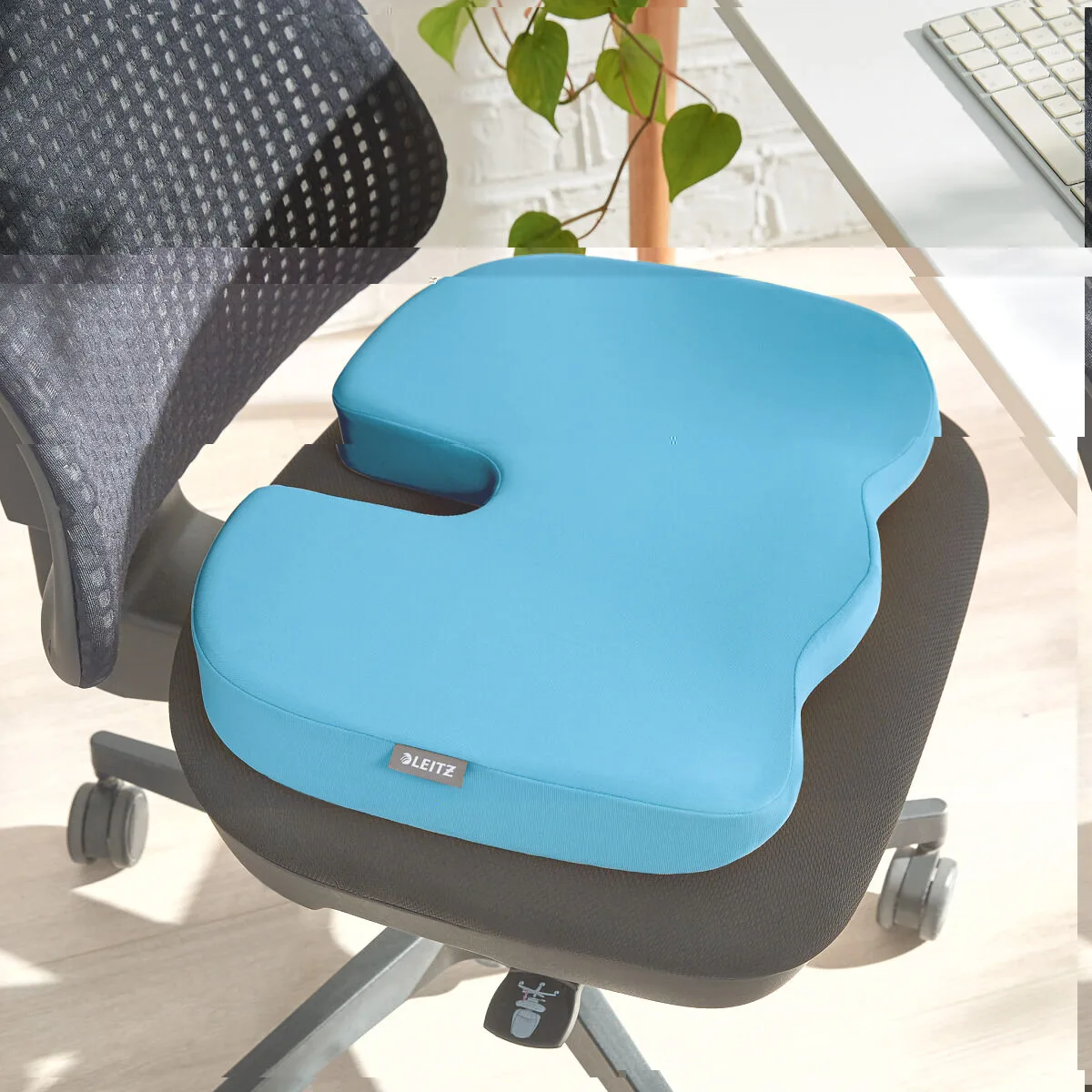 Coussin de chaise leitz m090023117. Nous avons injecté tout notre savoir-faire dans Diaytar pour vous offrir une expérience shopping sans friction, tout en plaisir.