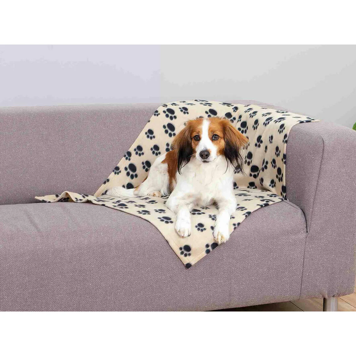 Couverture pour animaux de compagnie trixie beany 100 x 70 cm beige m060117516. Notre mission : éradiquer le superflu pour ne vous proposer que l'essentiel... mais en beaucoup plus stylé. Bienvenue chez Diaytar.