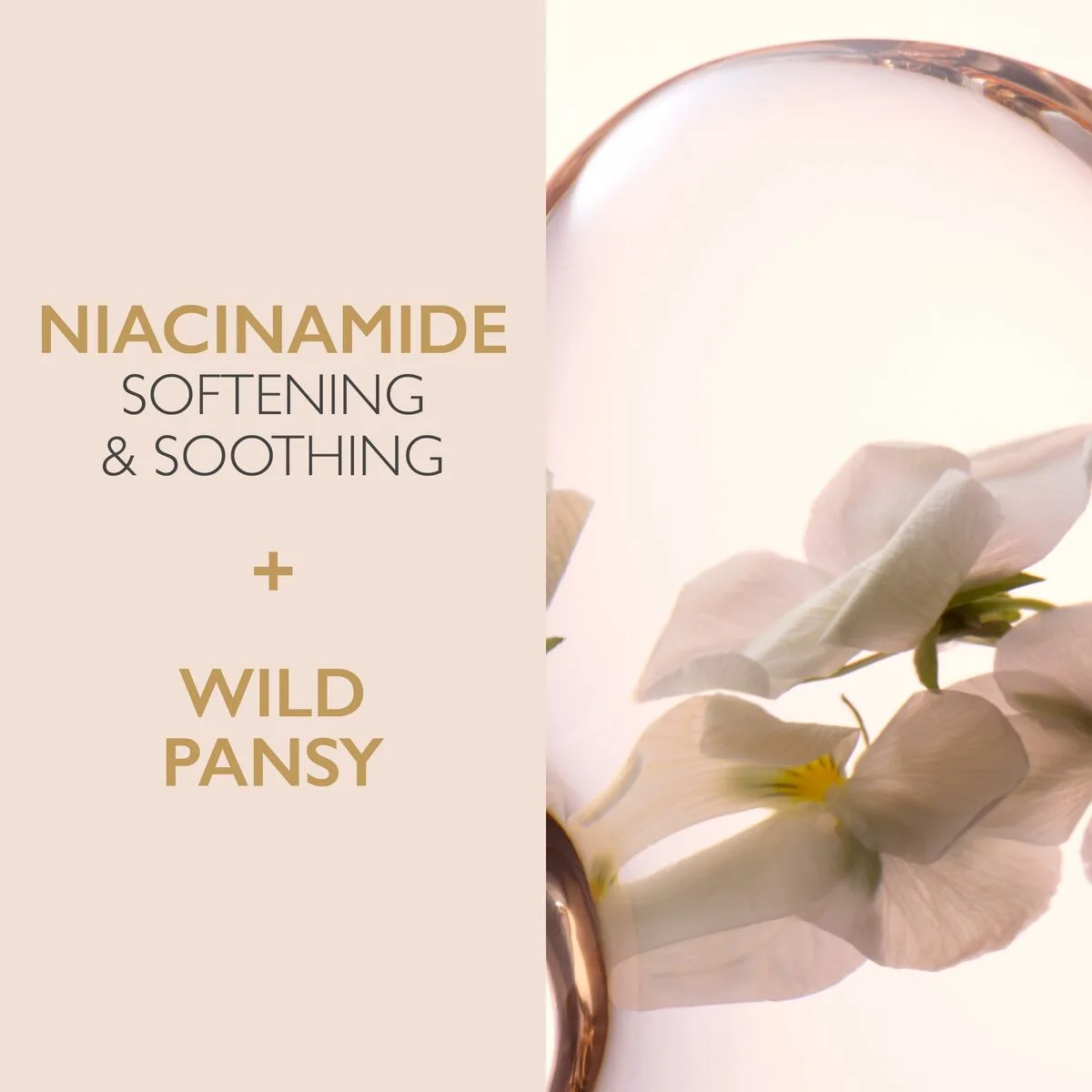 Creme visage lancaster cleansers 400 ml s059494445. Pour les esprits curieux et exigeants, Diaytar est la source intarissable de produits rares et ingénieux.