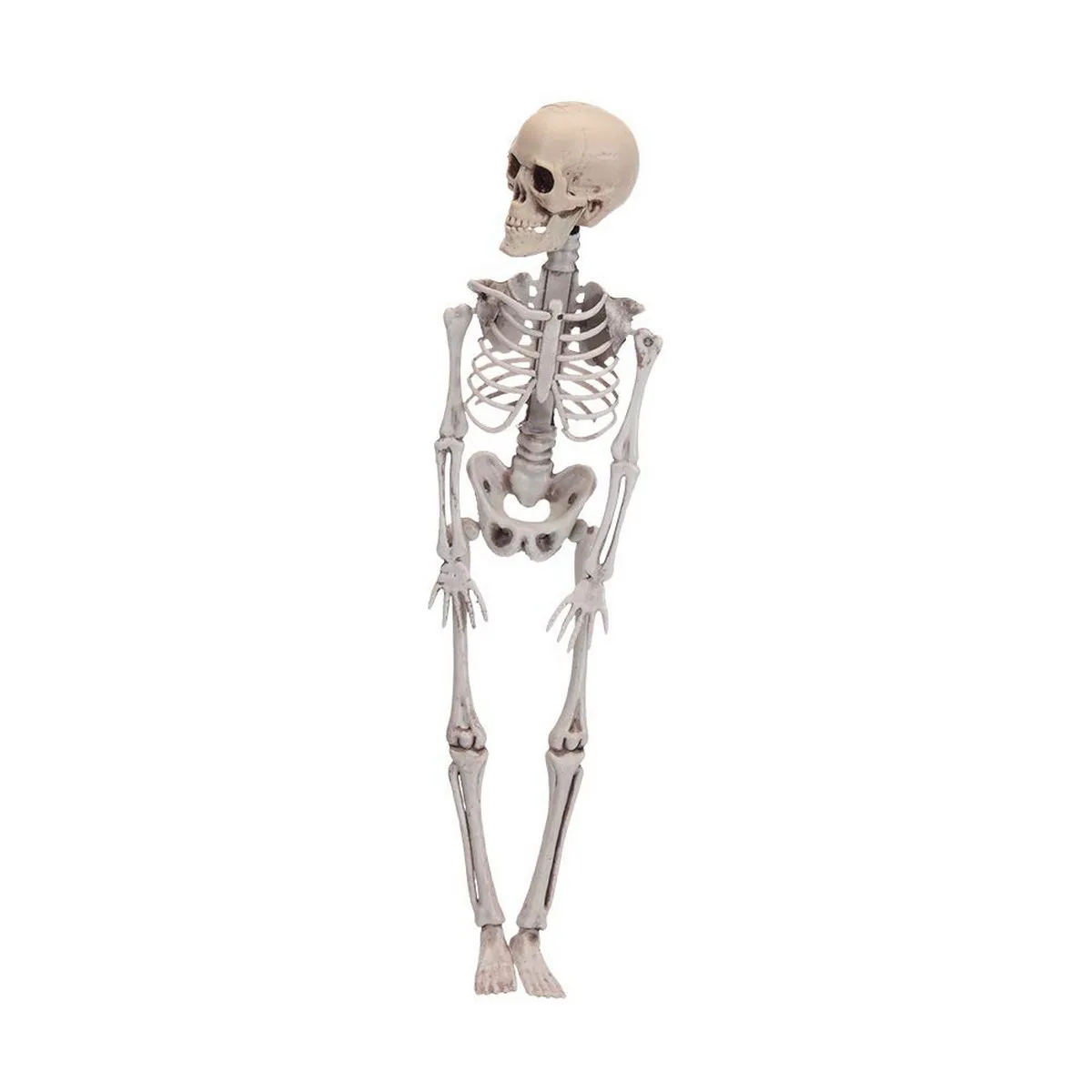 Decoration d halloween 42 cm beige multicouleur s790229289. Diaytar est le résultat de milliers d'heures de recherche et développement pour vous offrir une offre généraliste d'exception.