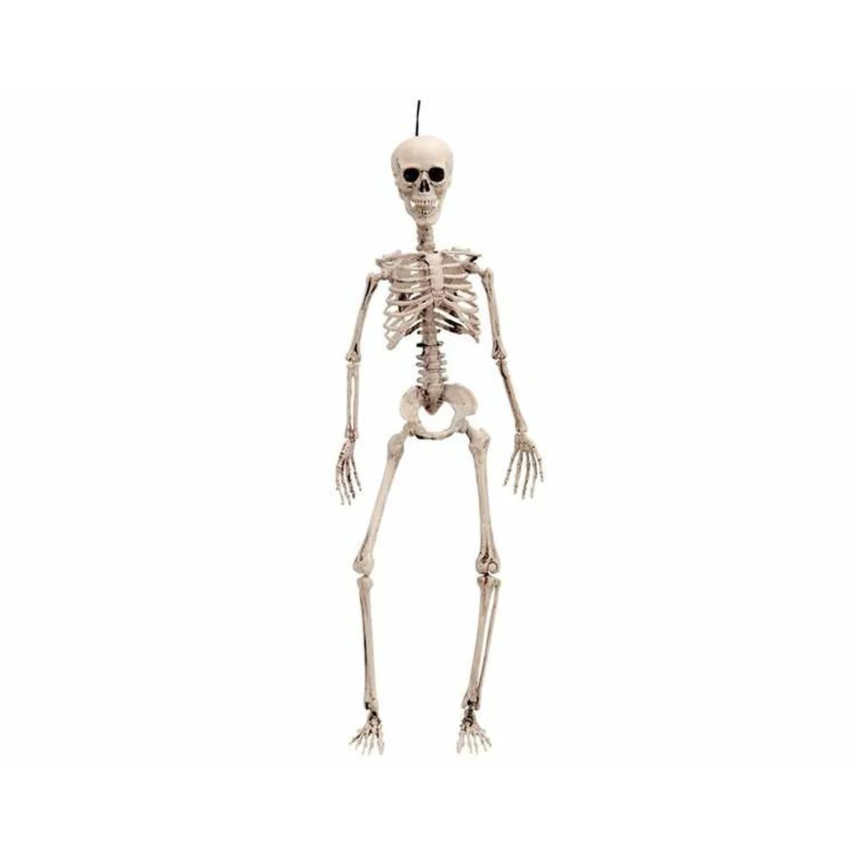 Decoration d halloween my other me 49 cm squelette s240796030. Diaytar s'engage : derrière chaque produit se cache une promesse de qualité, de durabilité et de satisfaction.