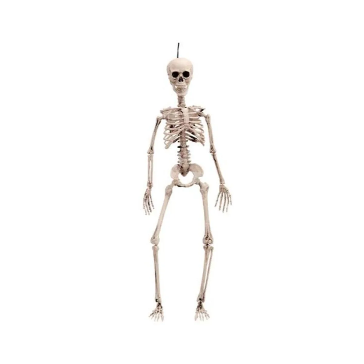 Decoration d halloween my other me 49 cm squelette s240796044. Avec Diaytar, faites de chaque achat en ligne une découverte et de chaque produit un ajout valuable à votre univers