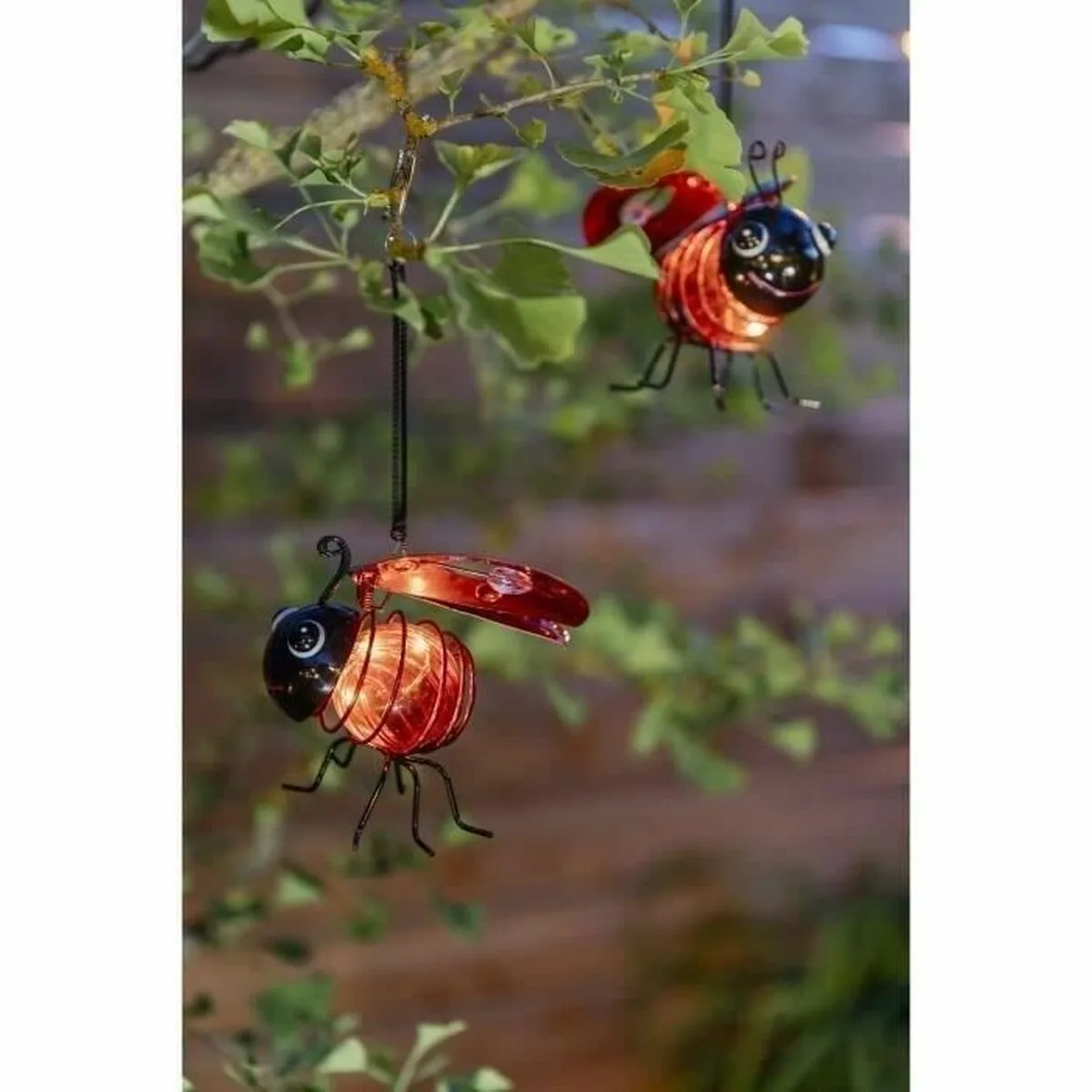 Decoration lumineuse galix coccinelle s715111568. Bienvenue chez Diaytar, où nous croyons que le meilleur produit est celui qui vous trouve, et non l'inverse.