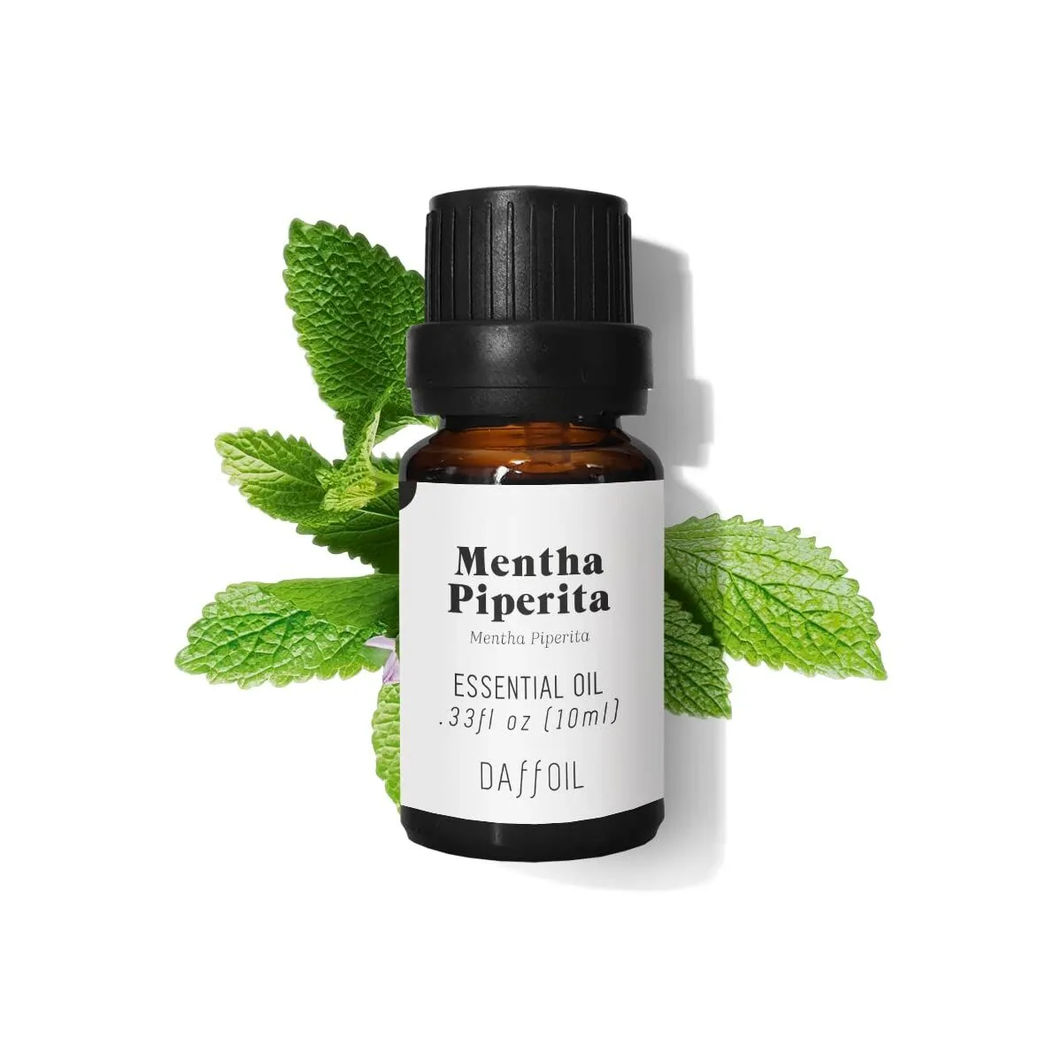 Desodorisant daffoil daffoil mint s0514449725. Diaytar, c'est le compagnon des visionnaires, de ceux qui achètent aujourd'hui les produits qui seront incontournables demain.