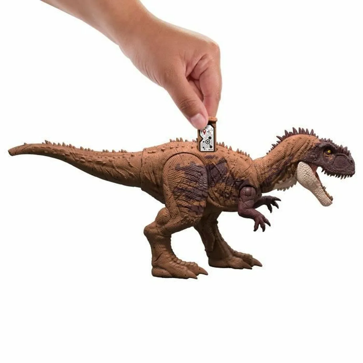 Dinosaure mattel s7101266973. Diaytar est le résultat de milliers d'heures de recherche et développement pour vous offrir une offre généraliste d'exception.