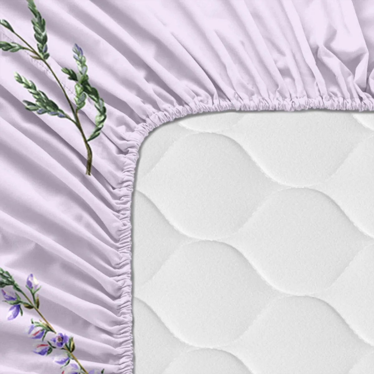 Drap housse happyfriday lavanda multicouleur 140 x 200 x 32 cm d161387552. Nous sommes fiers de vous présenter Diaytar, une plateforme où l'amour du produit général et tendance est roi