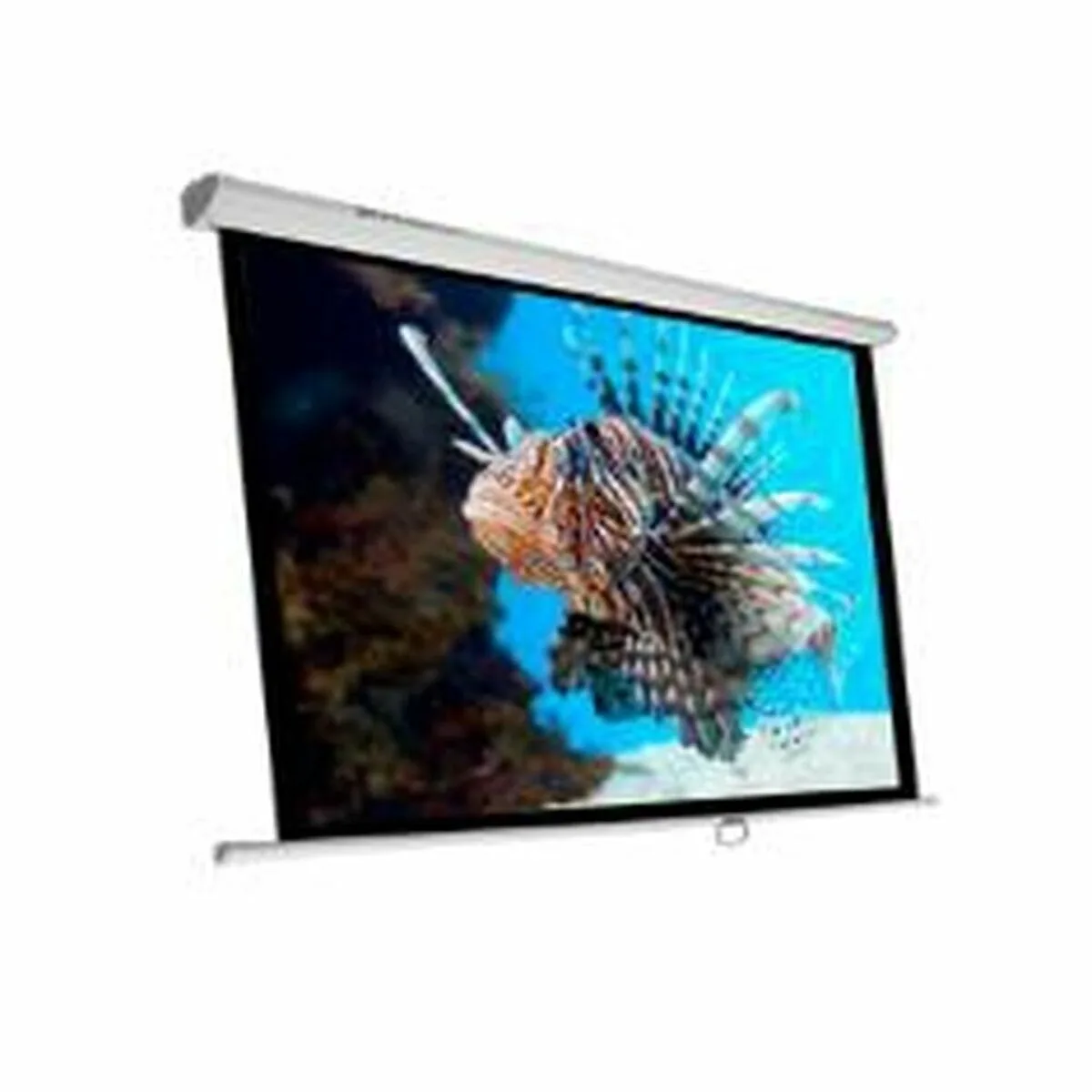 Ecran de projection pour ordinateur phoenix ph 240 s043824890. Nous avons voulu Diaytar comme une deuxième maison, remplie de produits qui vous ressemblent et vous facilitent la vie.