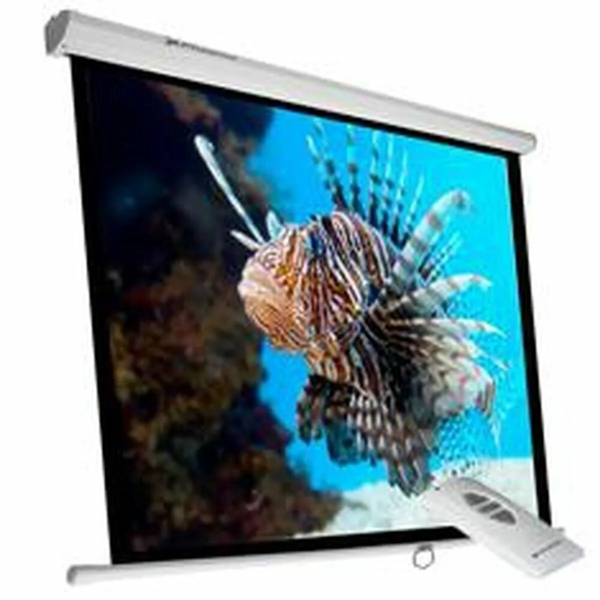 Ecran de projection pour ordinateur phoenix phpantalla elec240 s043824743. Diaytar anticipe les tendances pour vous offrir le meilleur de la mode.