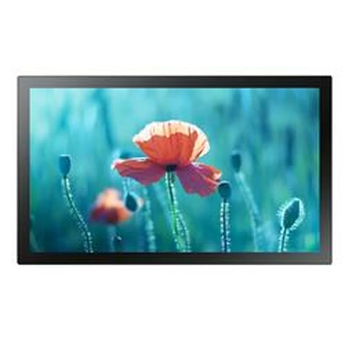 Ecran samsung lh13qbrmbgcxen full hd 60 hz s5526257874. Diaytar, le compagnon des esprits créatifs et exigeants en quête de produits généraux hors des sentiers battus