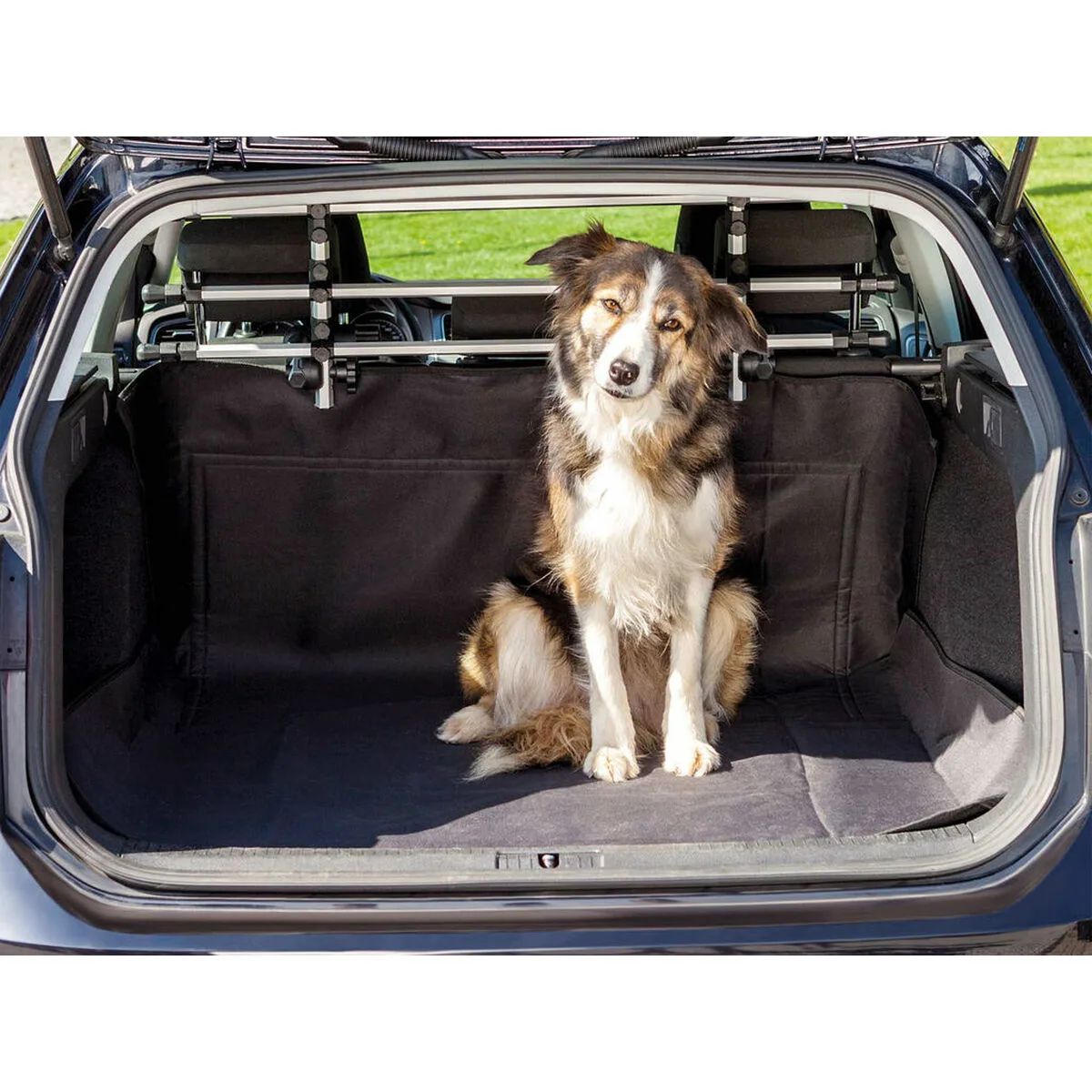 Etui de protection trixie 1319 1 5 x 1 2 m m060066380. Notre équipe Diaytar parcourt le globe pour vous dénicher les produits généraux et électroniques les plus prometteurs