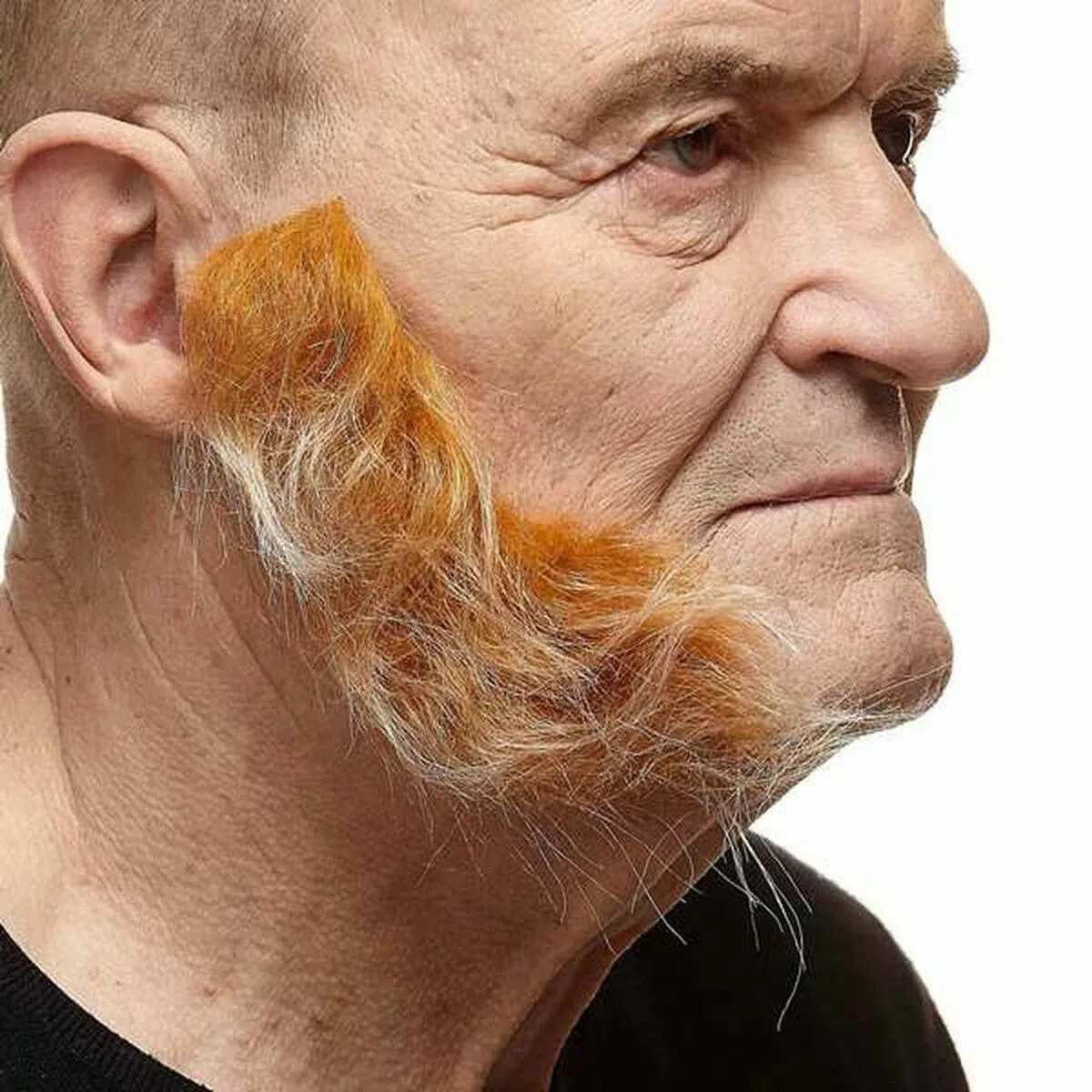 Fausses pattes my other me orange s241936593. Nous avons bâti Diaytar sur une idée simple : vous méritez le meilleur des produits, sans avoir à chercher pendant des heures.
