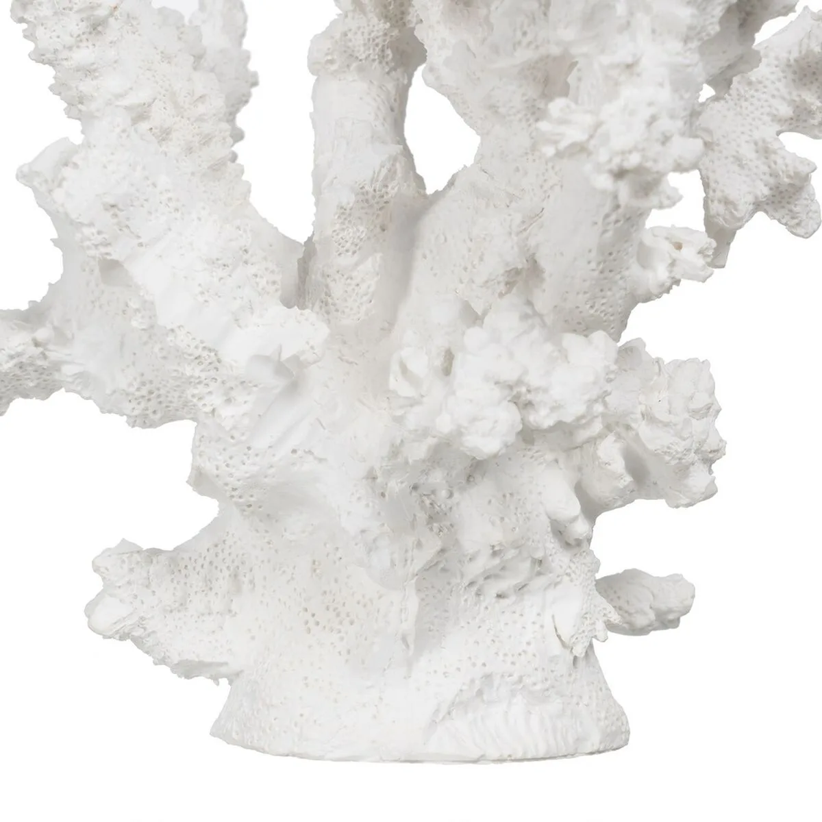 Figurine decorative blanc resine corail 17 x 17 x 20 cm s880683217 Figurine decorative blanc resine corail 17 x 17 x 20 cm s880683217. Diaytar, le nom qui garantit que chaque produit, du plus technologique au plus basique, a été choisi avec goût et exigence