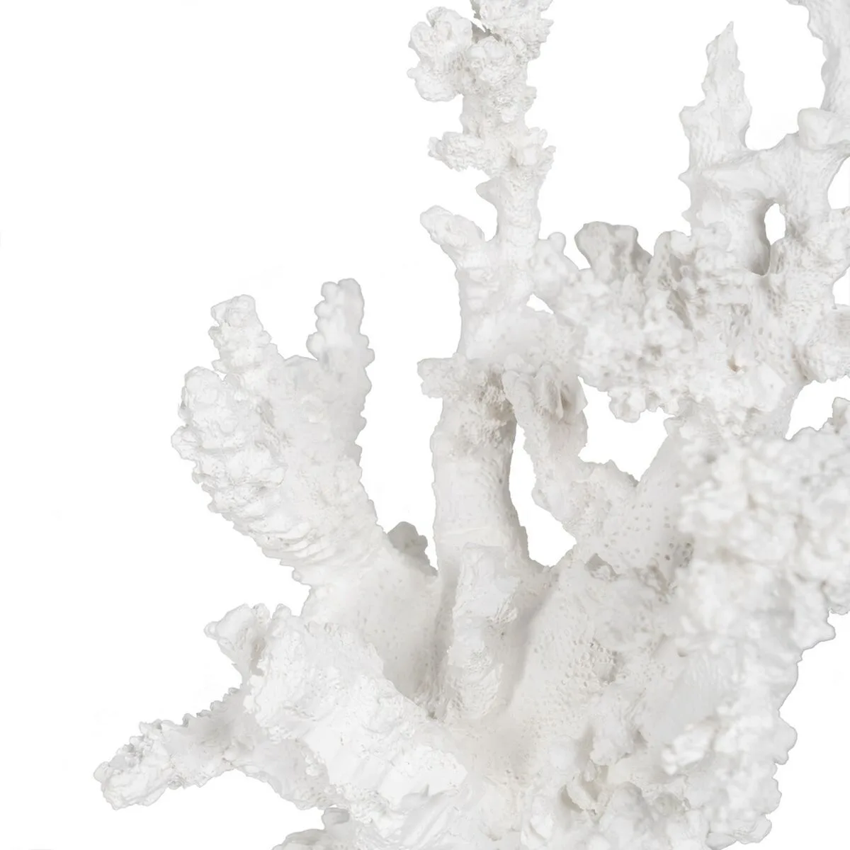 Figurine decorative blanc resine corail 17 x 17 x 20 cm s880683230 Figurine decorative blanc resine corail 17 x 17 x 20 cm s880683230. Diaytar s'adresse à tous ceux qui considèrent que le choix d'un produit, même basique, est une expression de leur personnalité