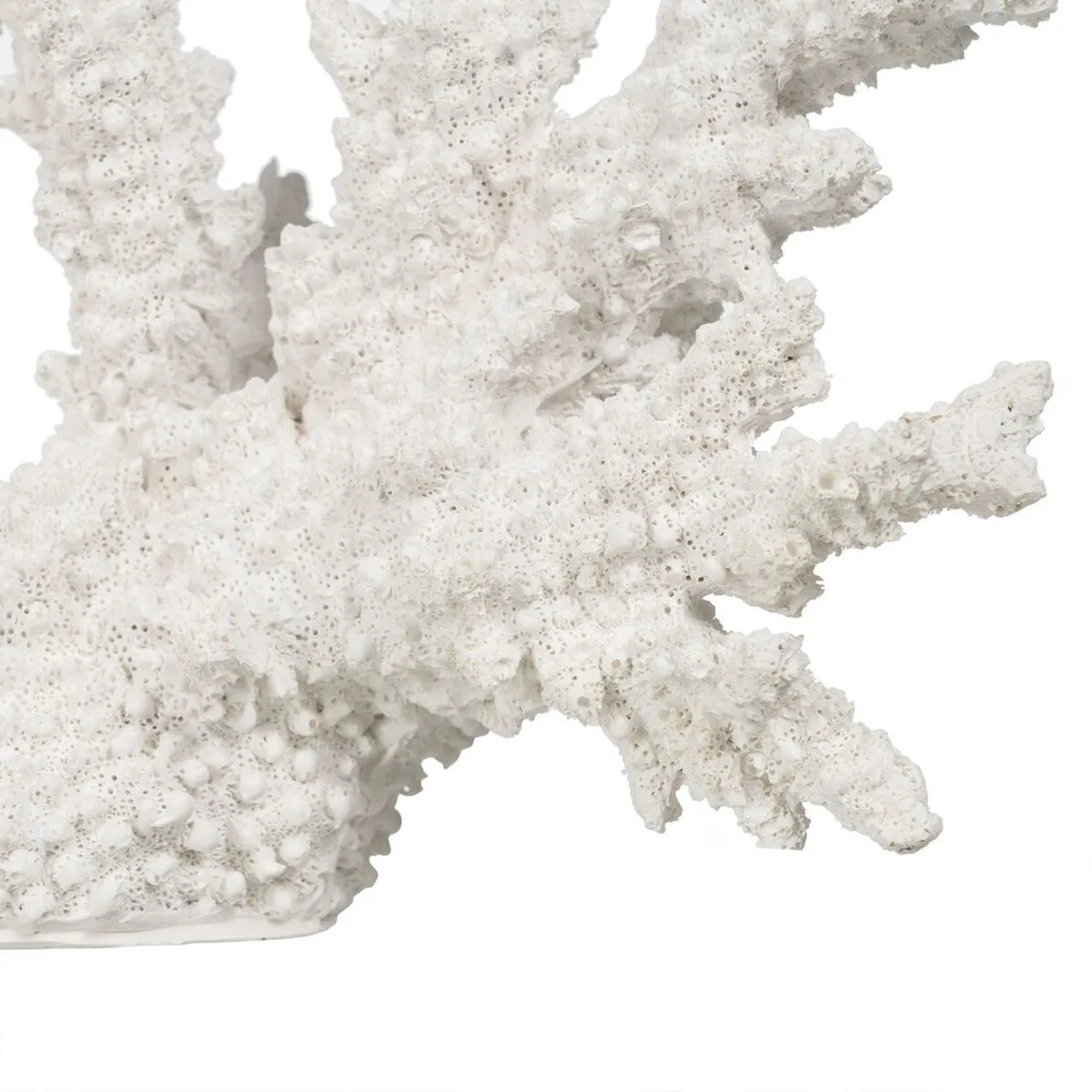 Figurine decorative blanc resine corail 34 x 13 x 27 cm s880683174 Figurine decorative blanc resine corail 34 x 13 x 27 cm s880683174. Diaytar s'adresse à tous ceux qui considèrent que le choix d'un produit, même basique, est une expression de leur personnalité