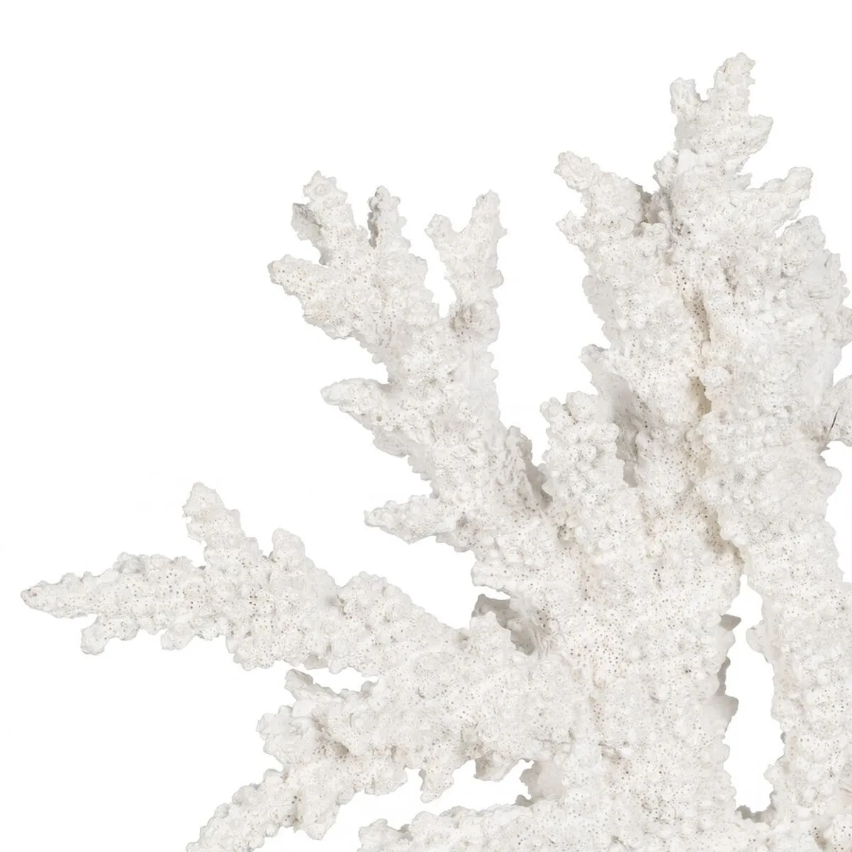 Figurine decorative blanc resine corail 34 x 13 x 27 cm s880683194 Figurine decorative blanc resine corail 34 x 13 x 27 cm s880683194. Tendance, confort et qualité : la trilogie gagnante de Diaytar Mode.