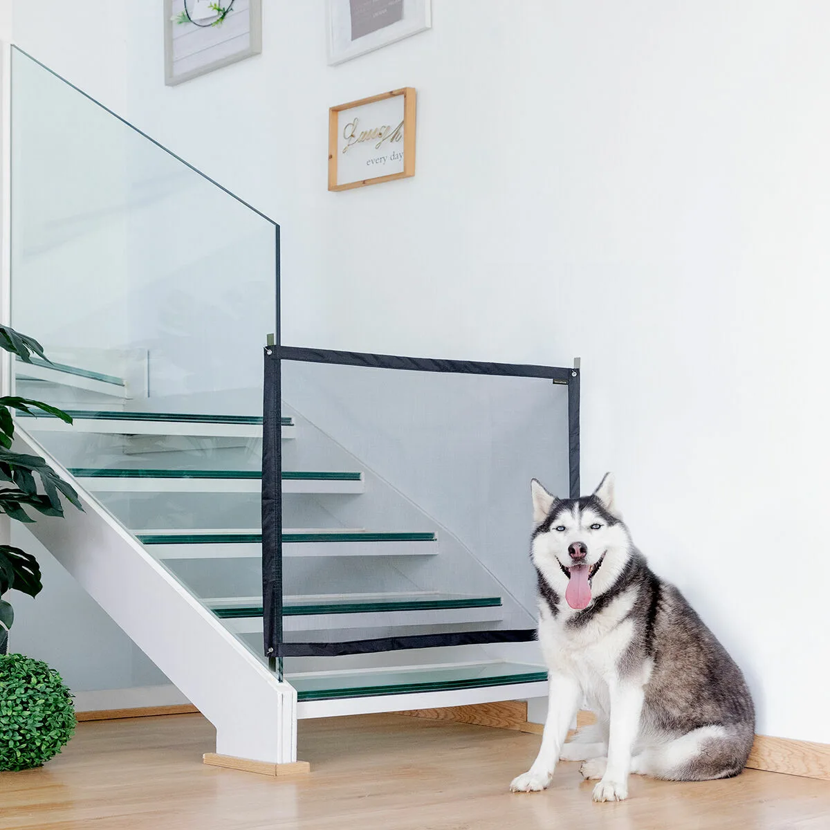 Filet de securite pour animaux de compagnie petinu innovagoods v010380723. Les influenceurs adorent Diaytar pour ses pièces mode avant-gardistes.